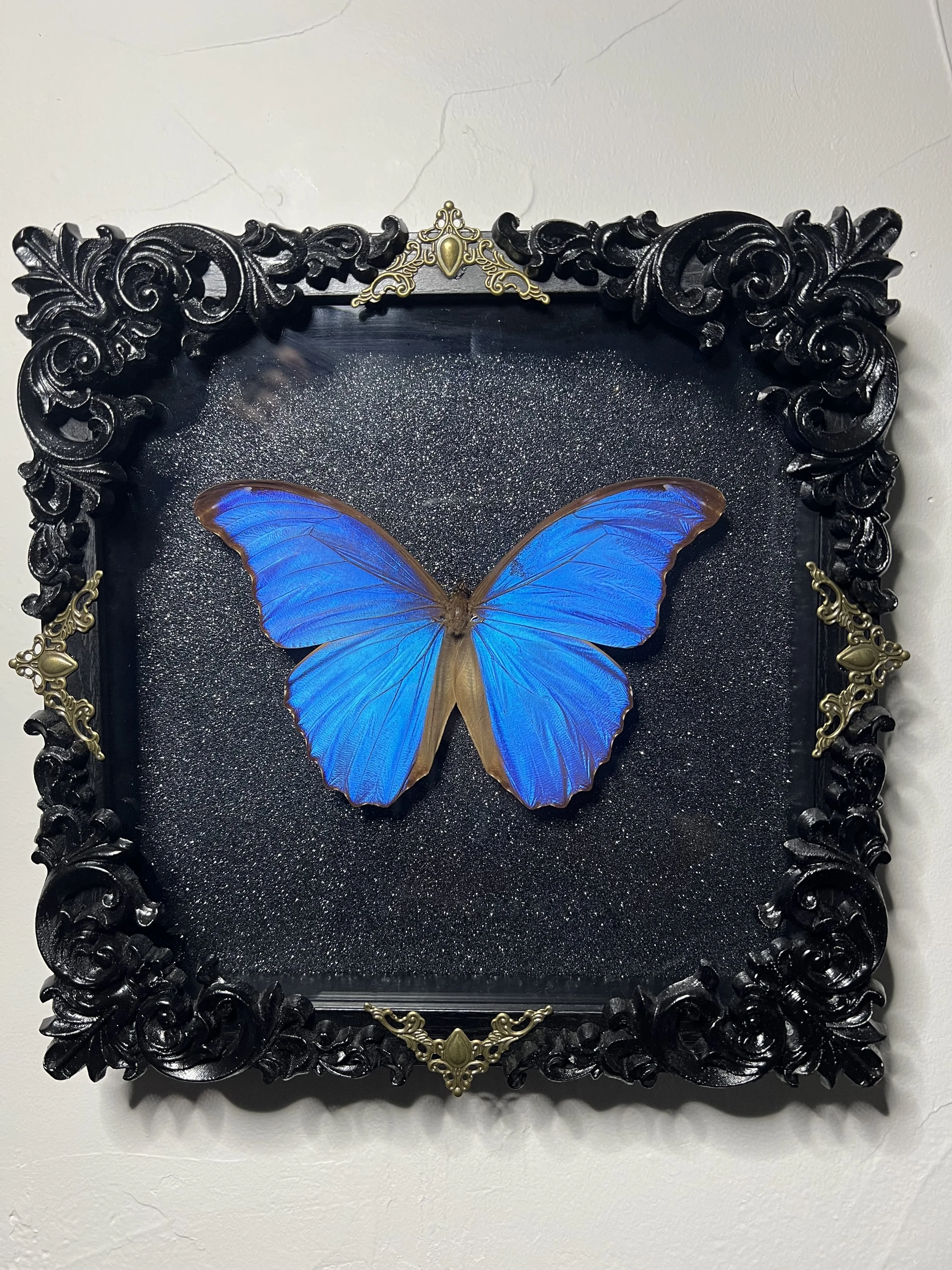 Wings & Things Collectibles