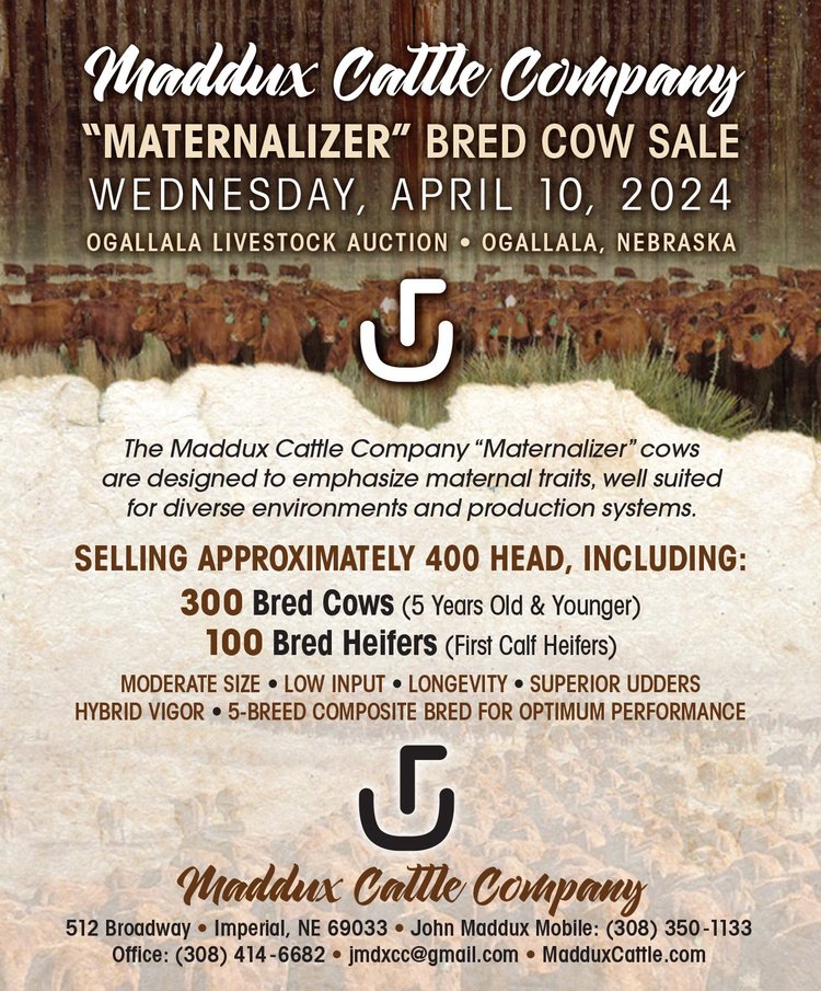 For Sale — Maddux Cattle Company