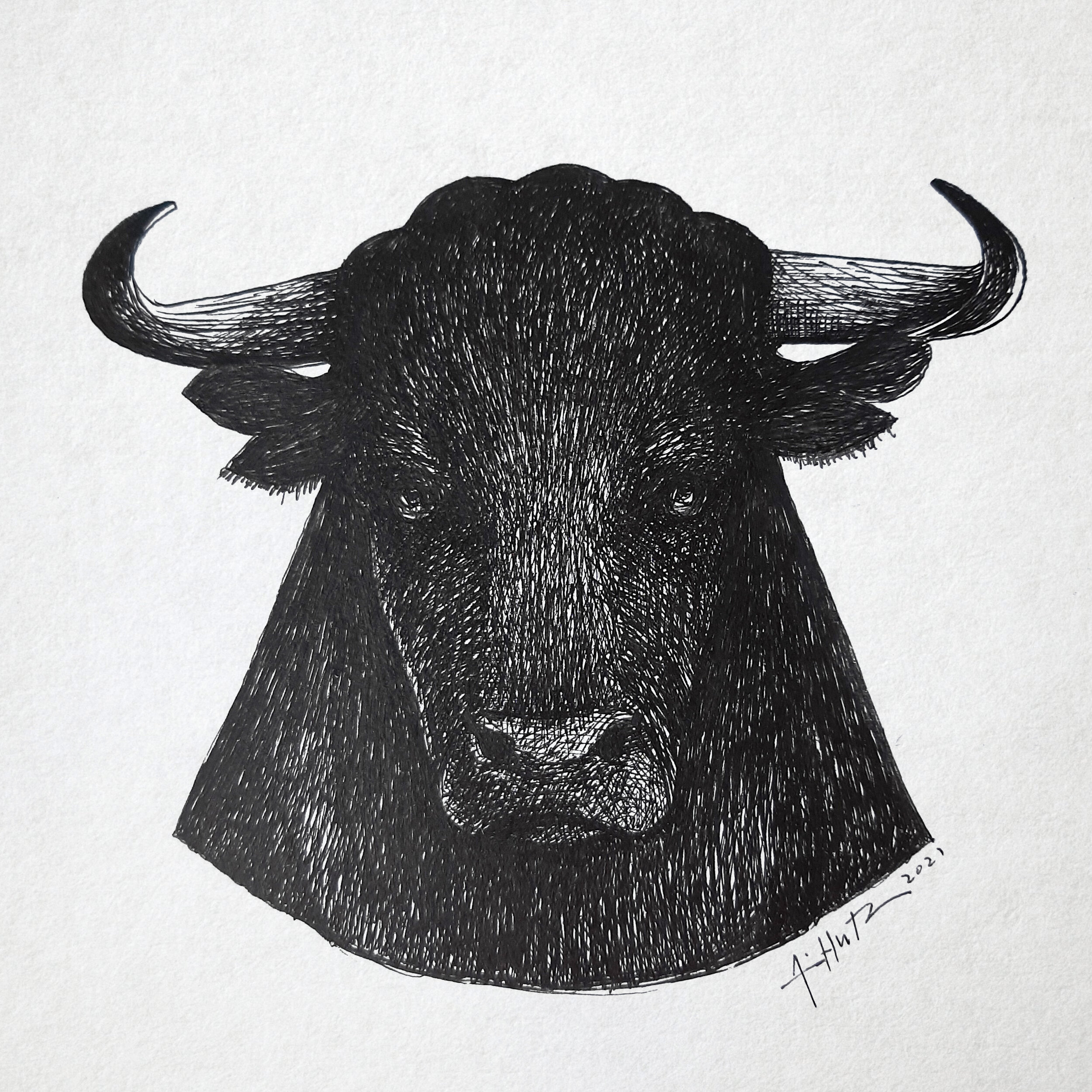 Year of the Bull - ink on paper