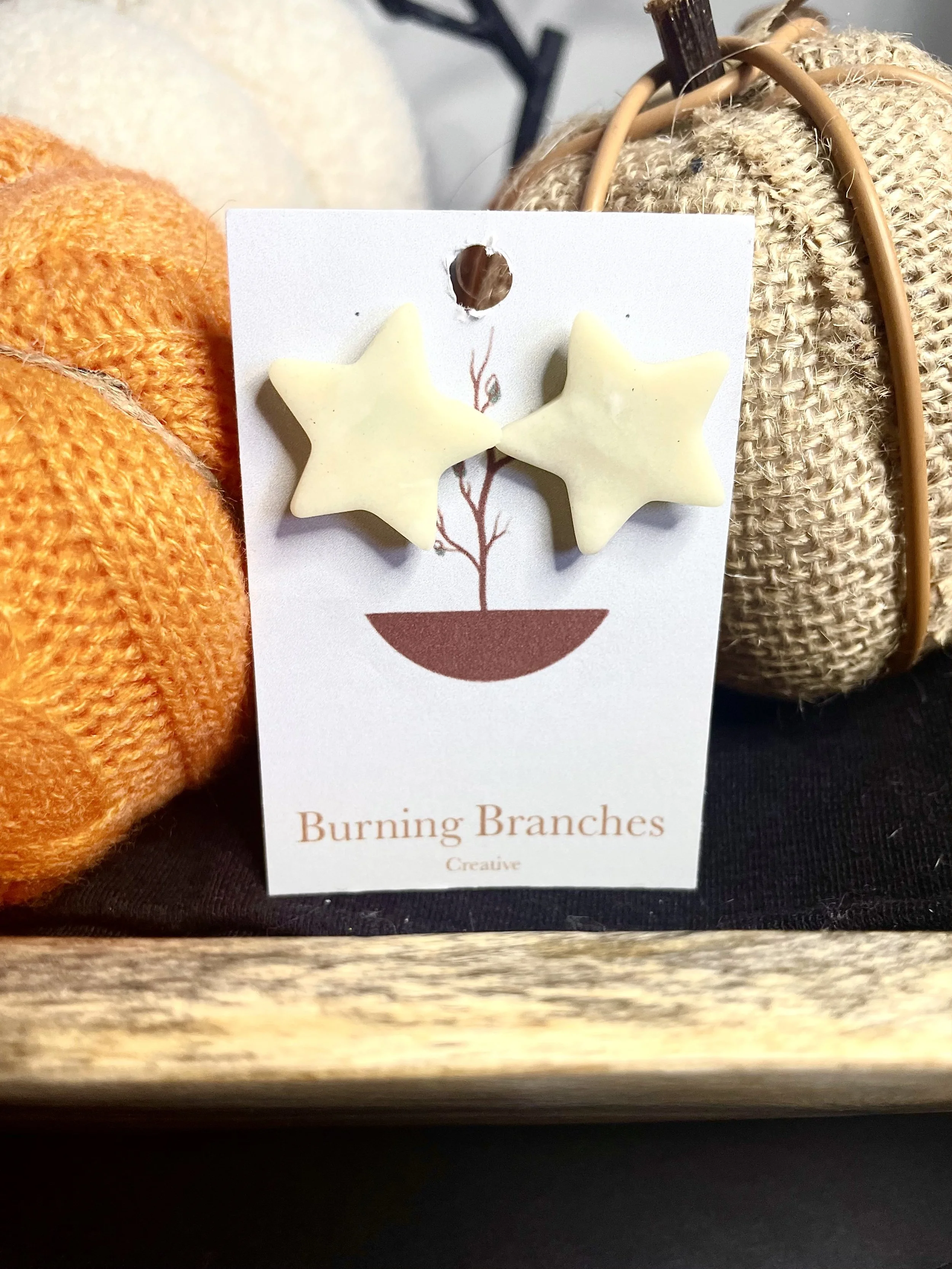 Shining Star Studs