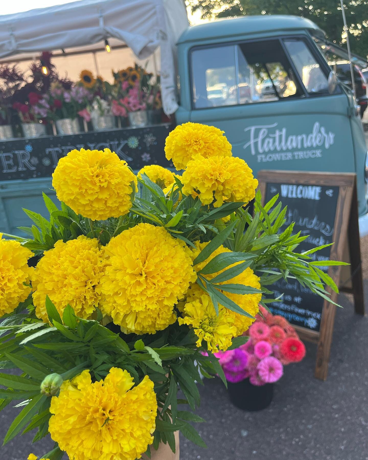 It&rsquo;s a Marigold Saturday! Come out and enjoy this beautiful weather @opfarmersmarket. Here till 1pm