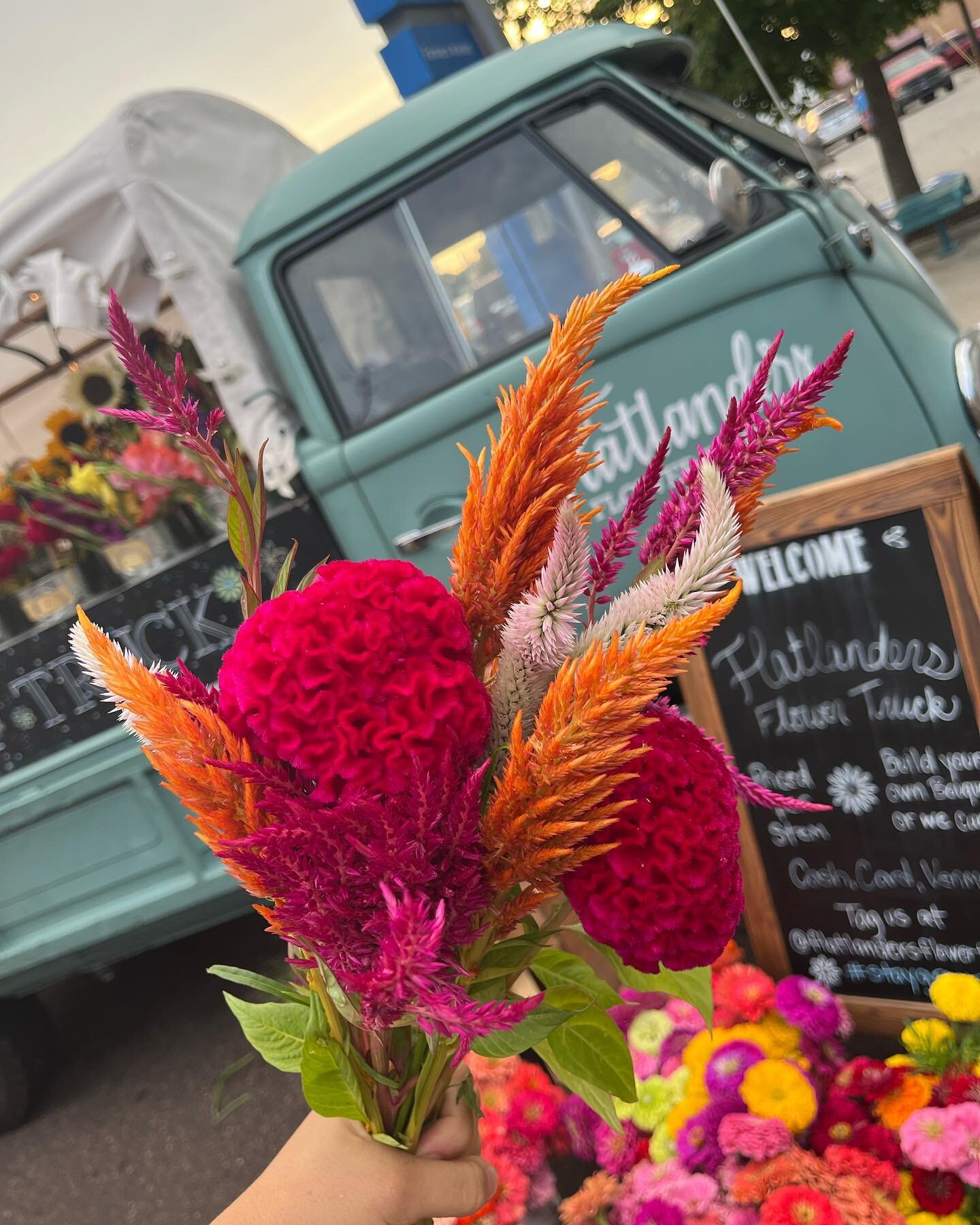 Everyone needs a little color! Come grab some fresh blooms for your holiday weekend! Here @opfarmersmarket till 1pm.