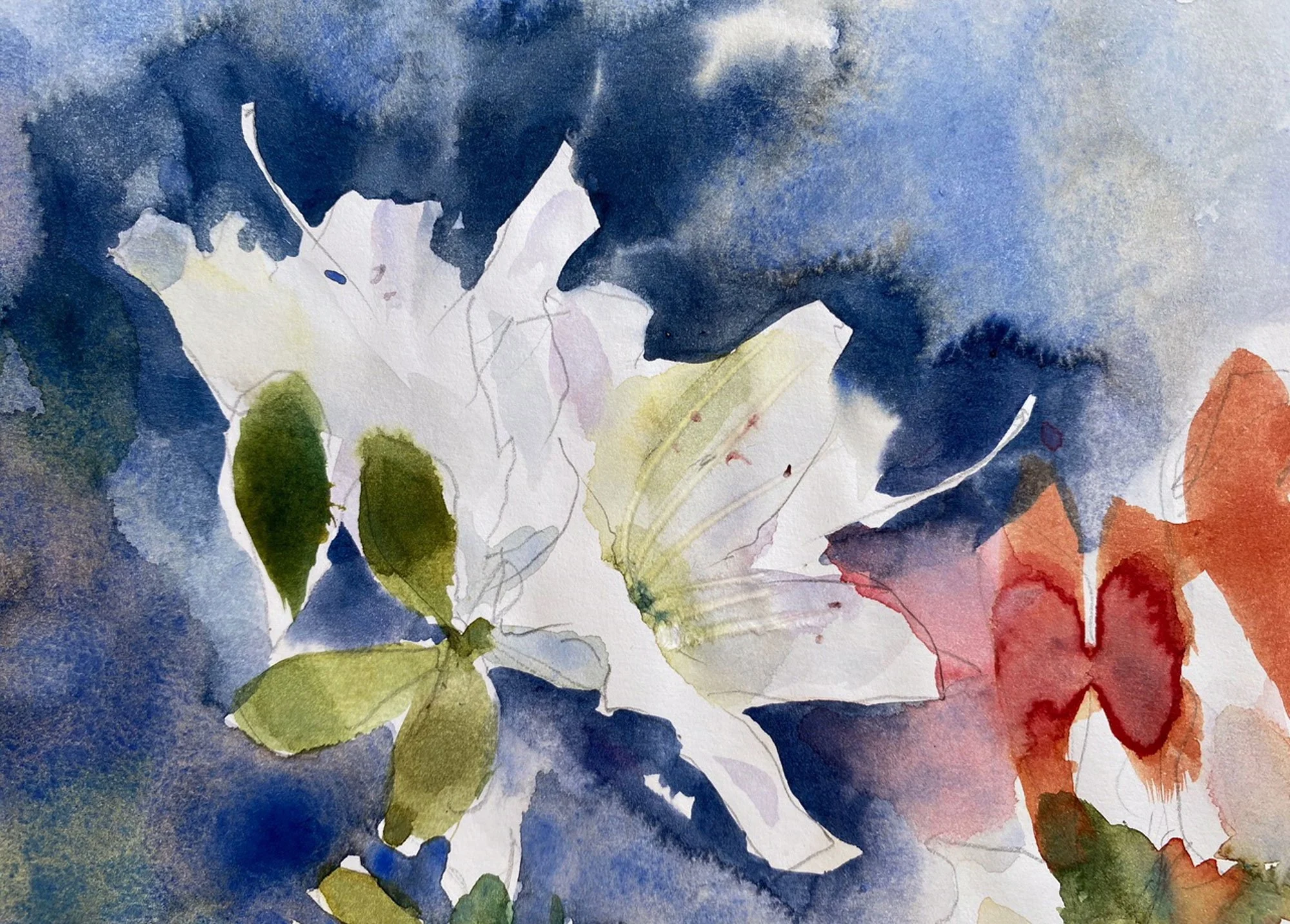 Impressive Watercolours with Susie Murphie