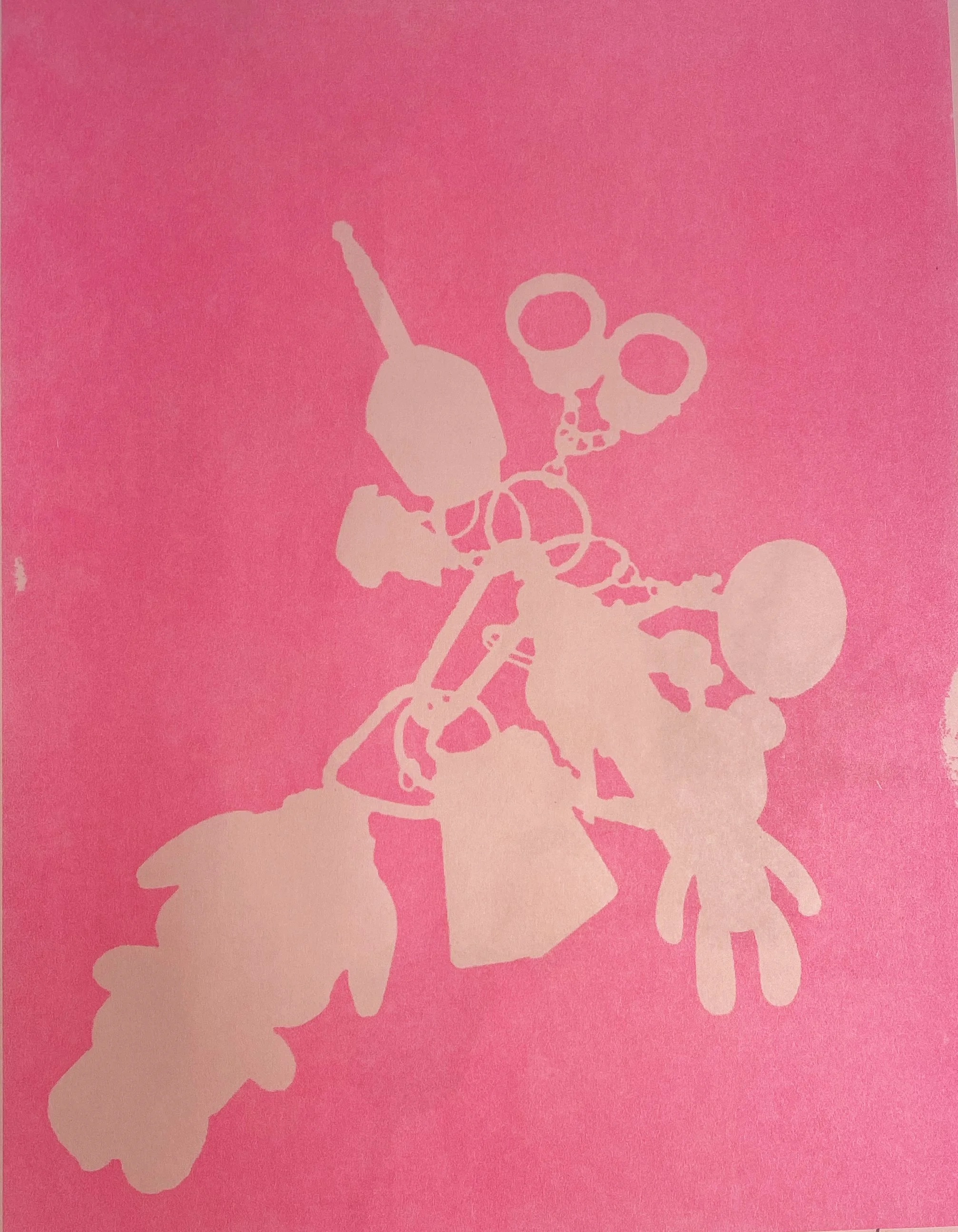 pink shadow poster.jpg