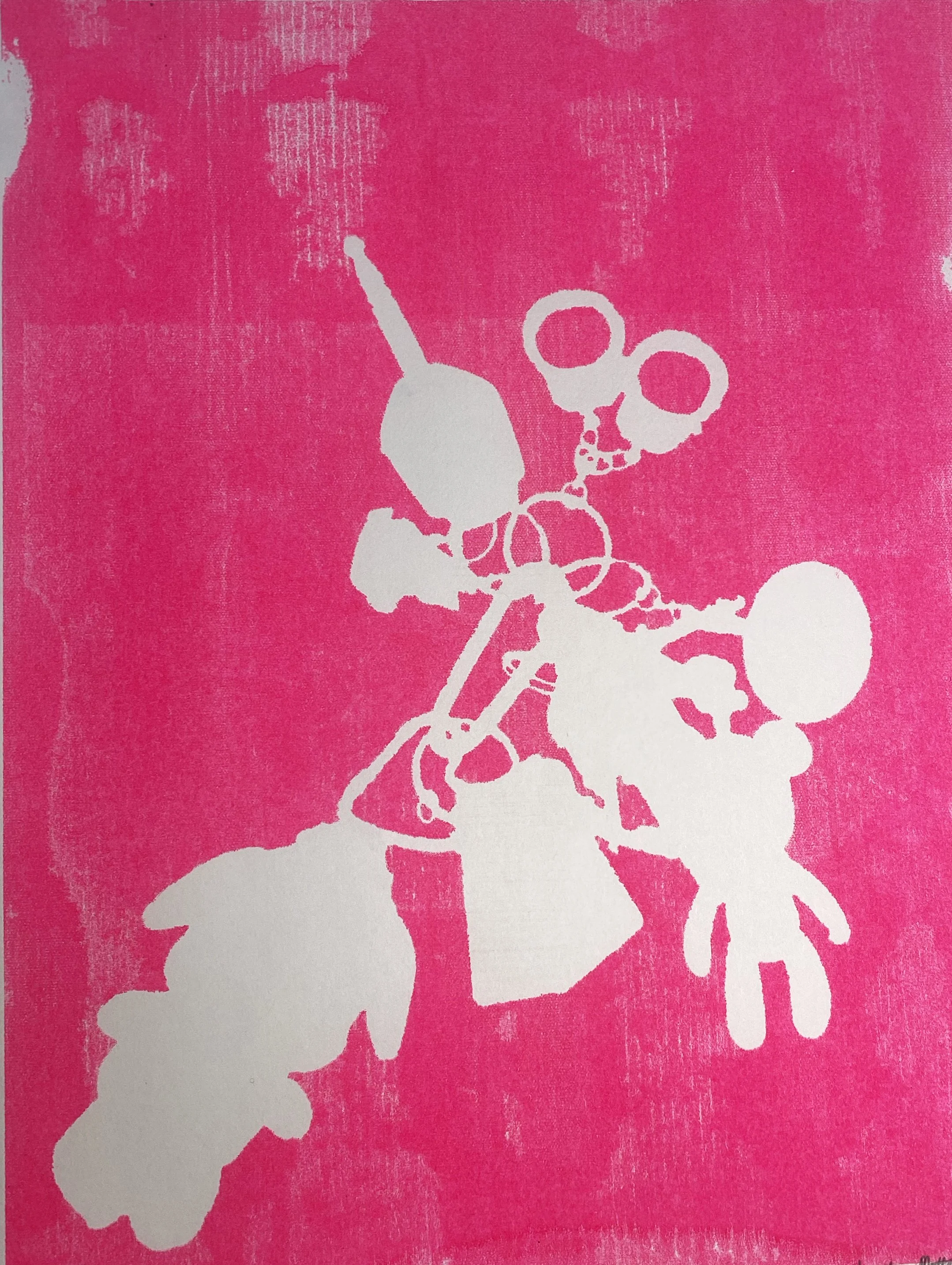 hot pink shadow poster.jpg