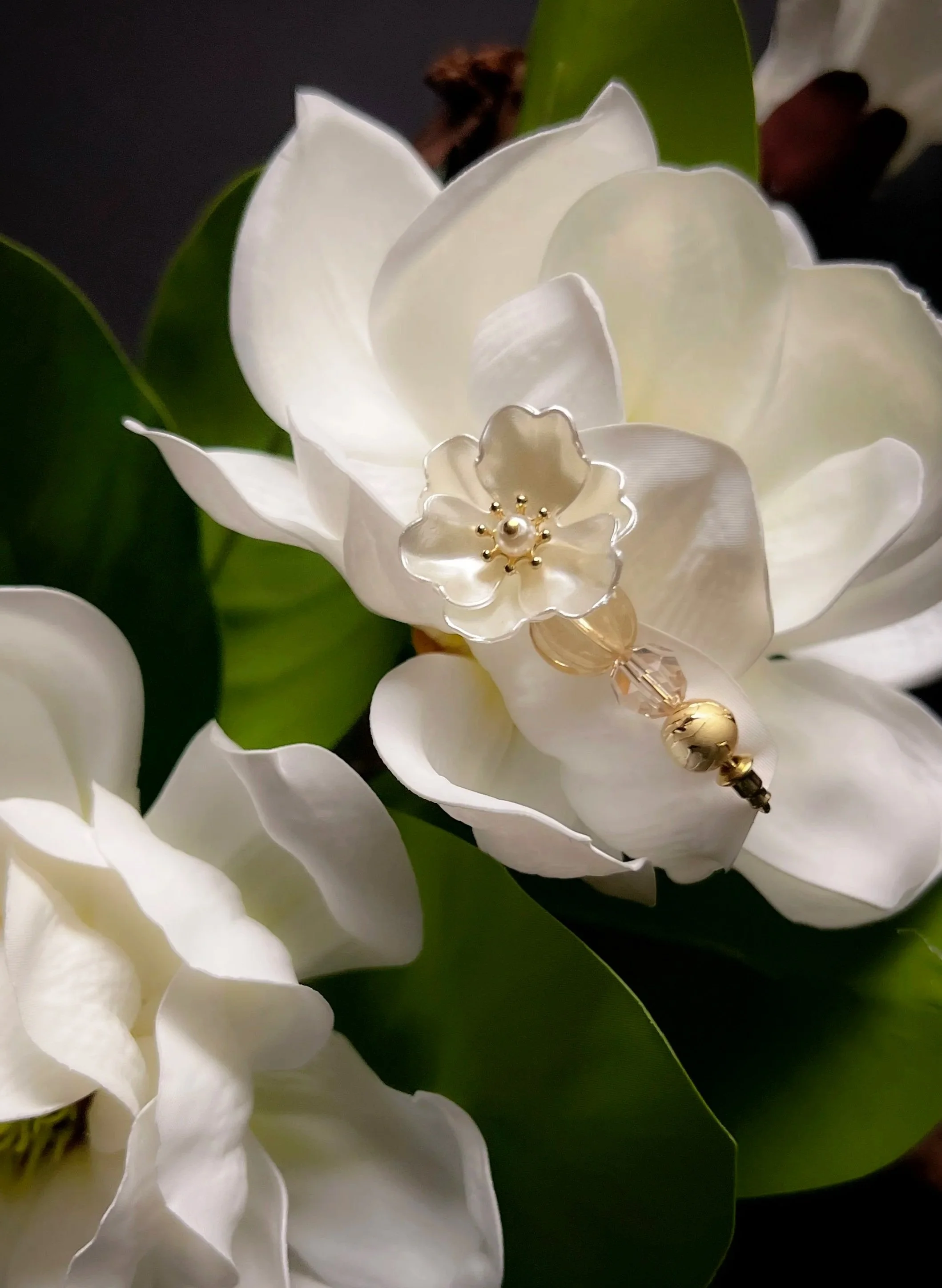 Camellia+Single+4.jpg