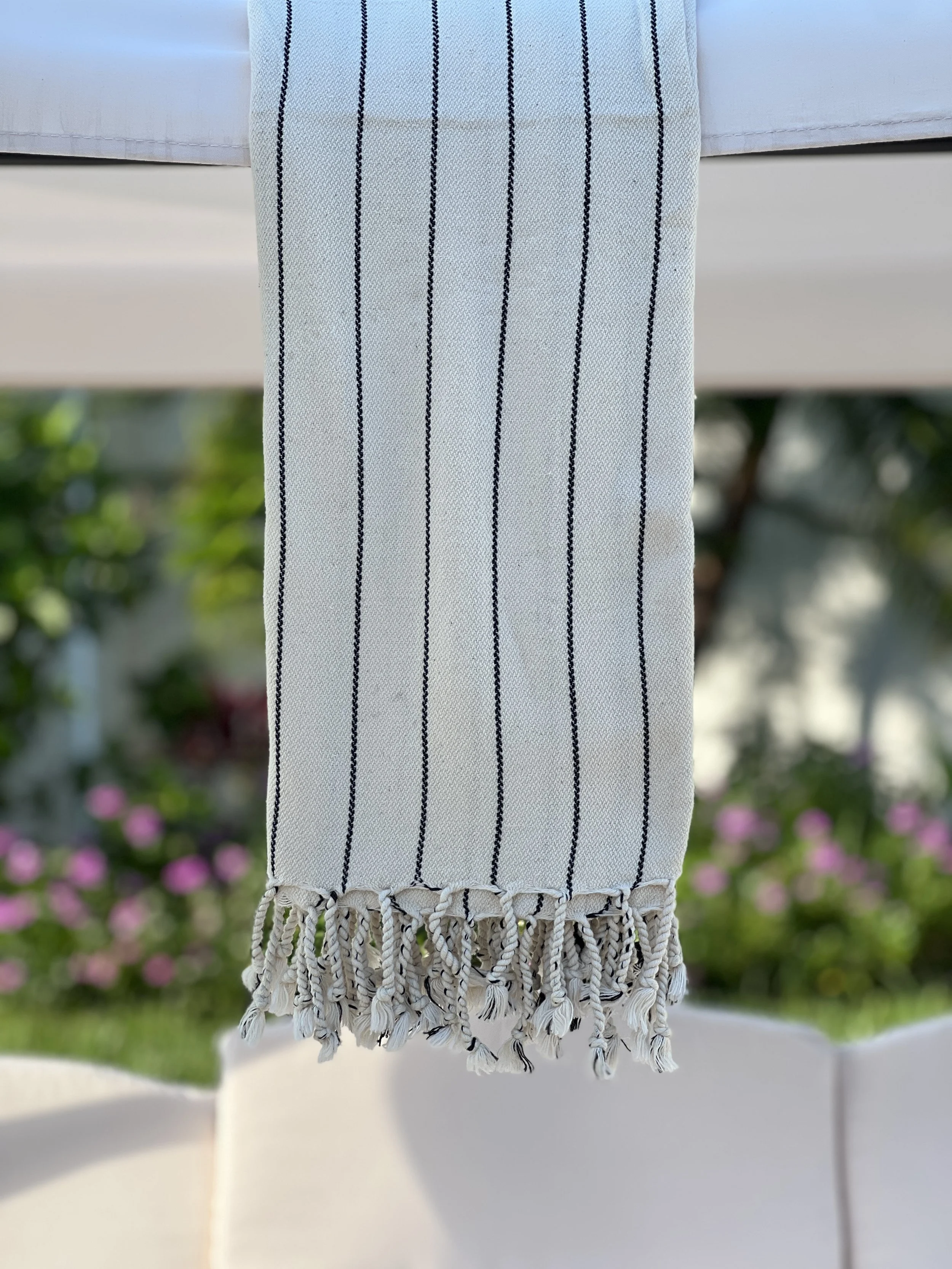 IMG_0974.jpg
