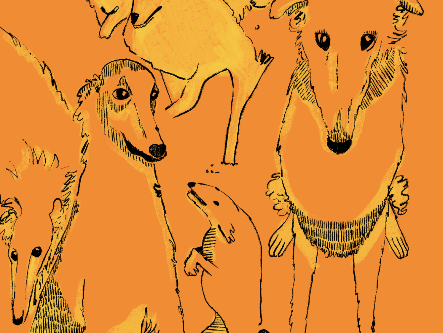 Illustration