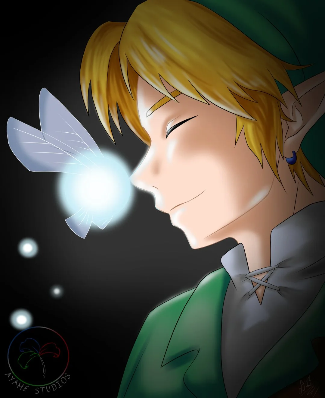 Link&Navi.jpg