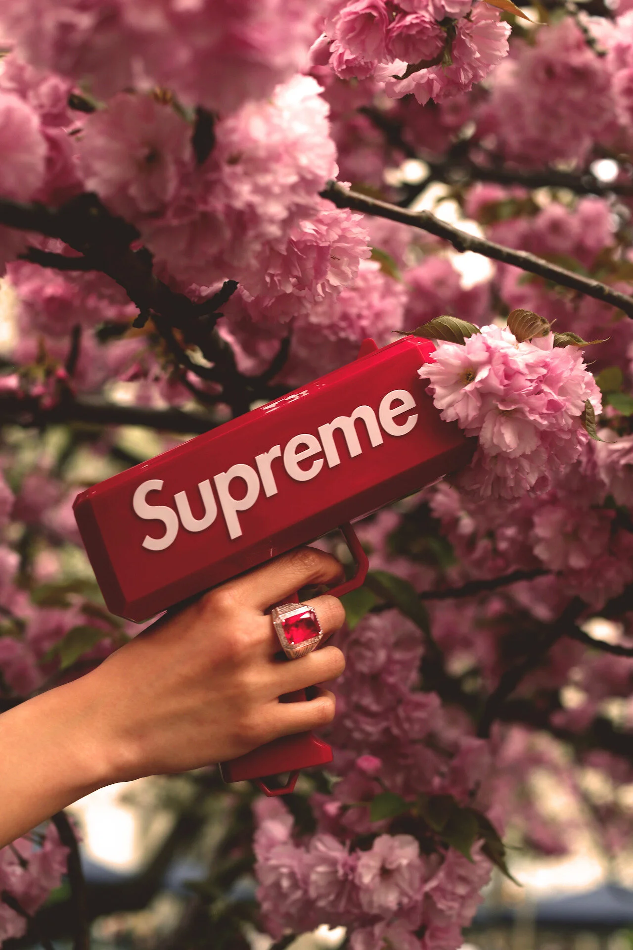 tumblr_ovhejmCVpq1qfz84qo1_1280 copy.jpg