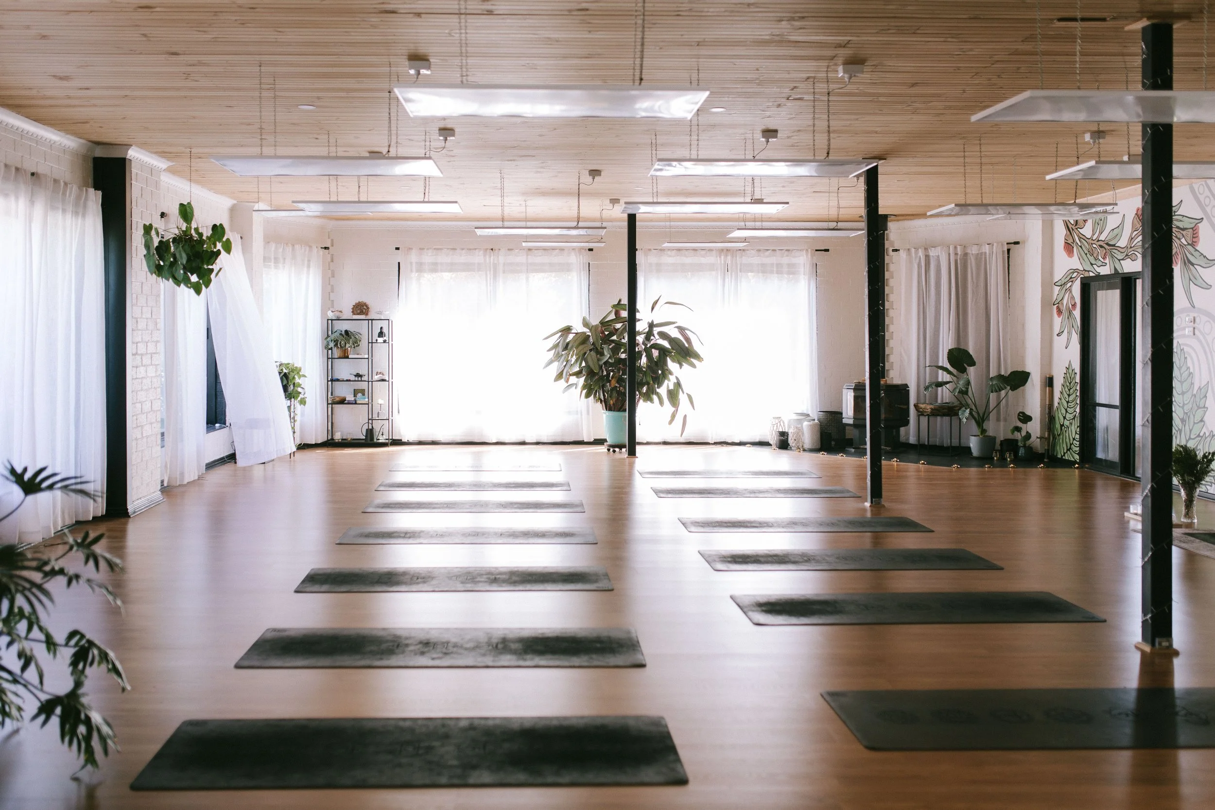 Studio Paradise
