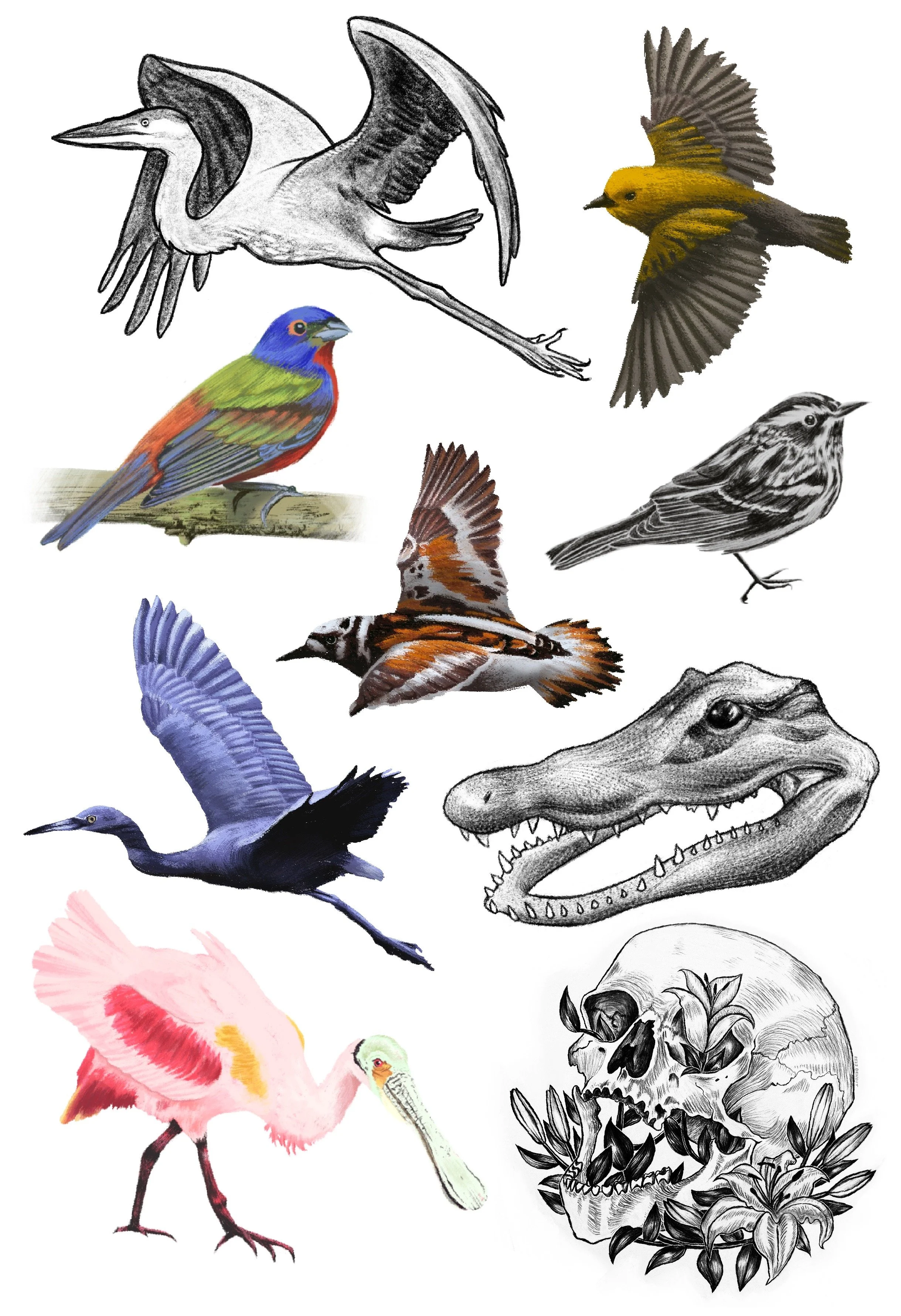 Untitled_Artwork 8.JPG