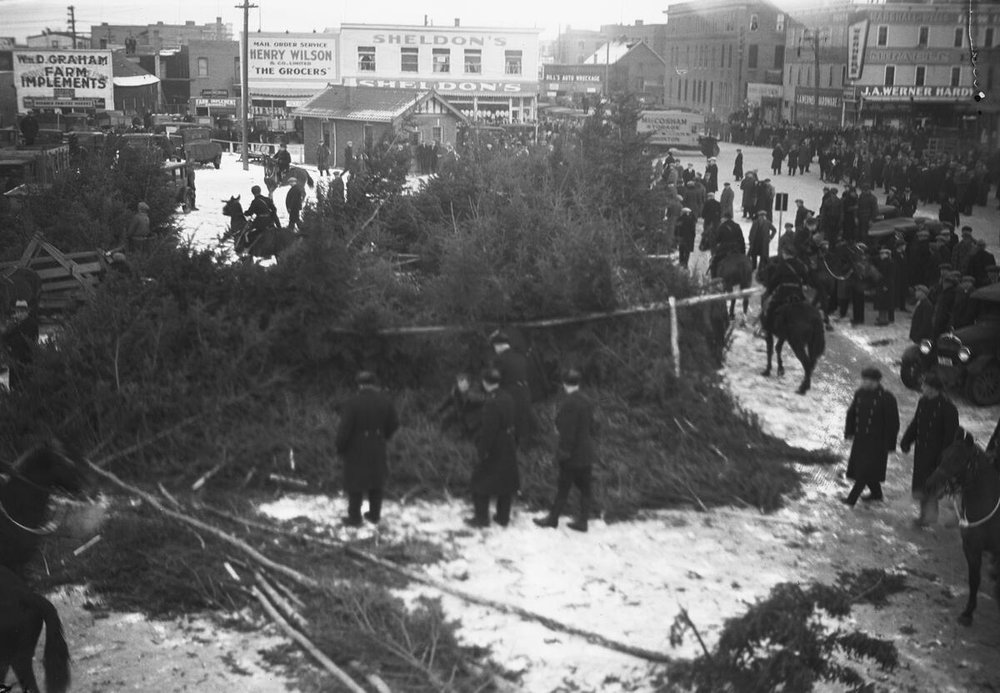  E.P.D. and R.C.M.P. constables pictured clearing individuals from on-sale Christmas trees.   Glenbow Archives Photo No. NC-6-13014E  