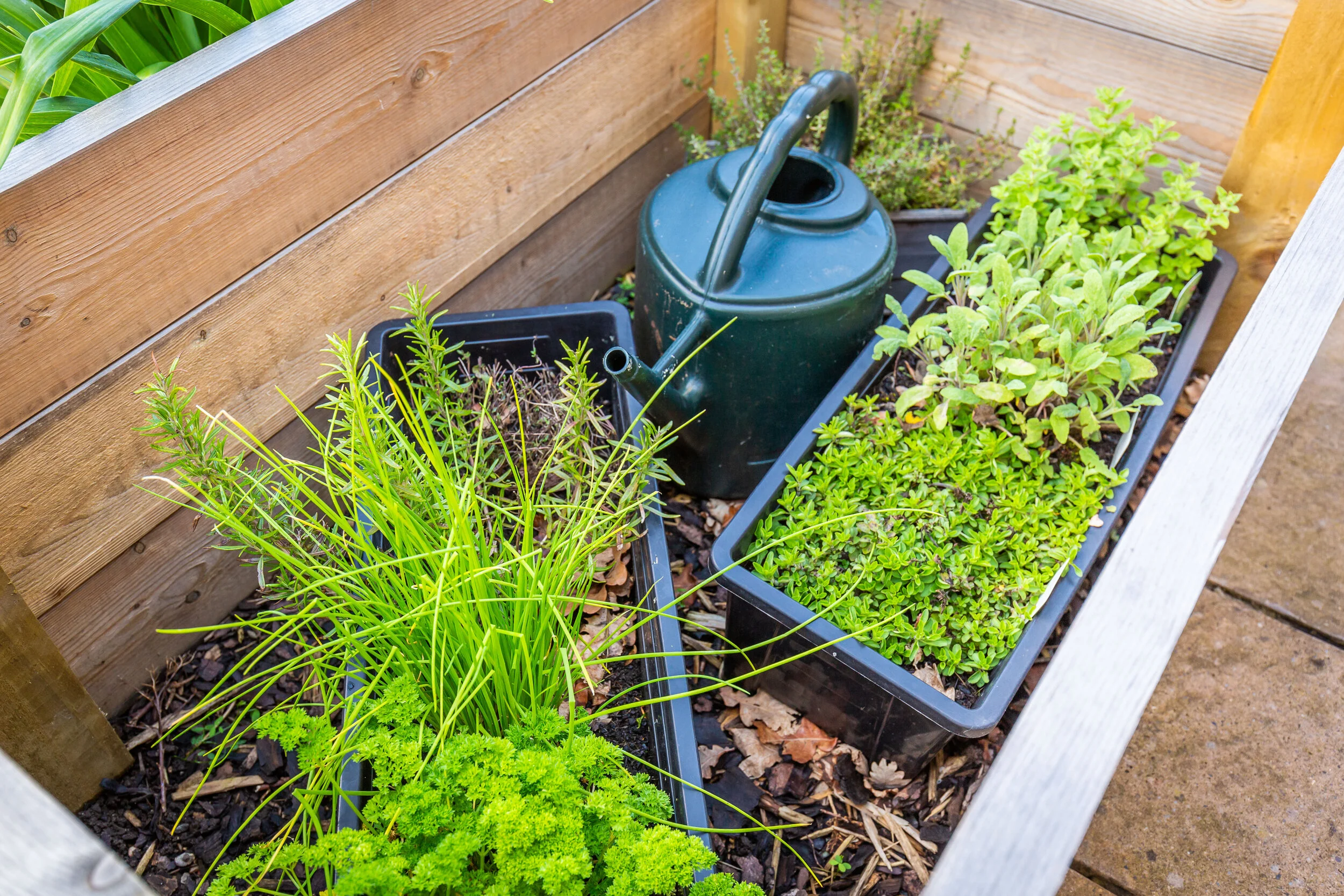 Broadleaf May 21-43.jpg