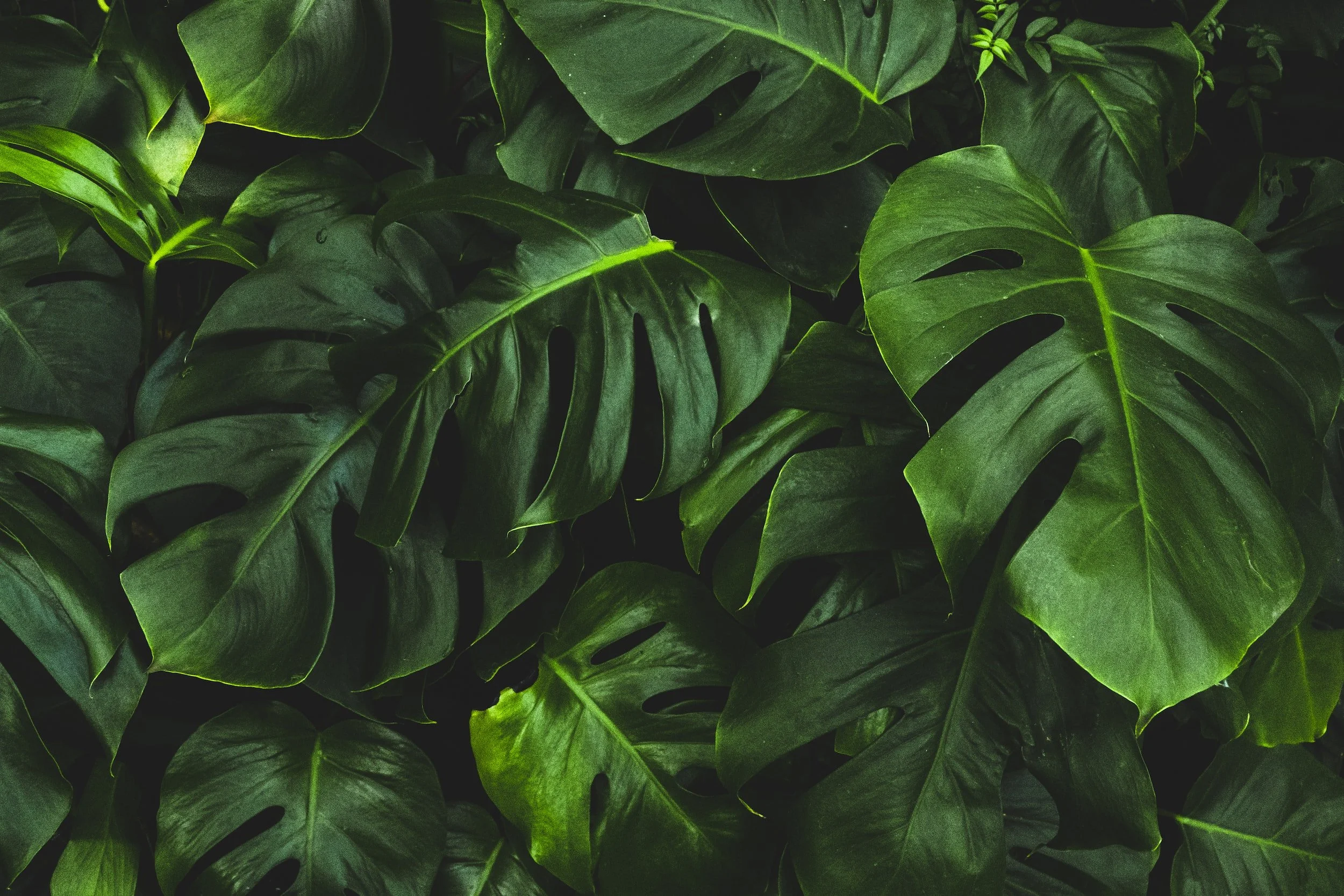 Is there enough room for growth in our relationships?