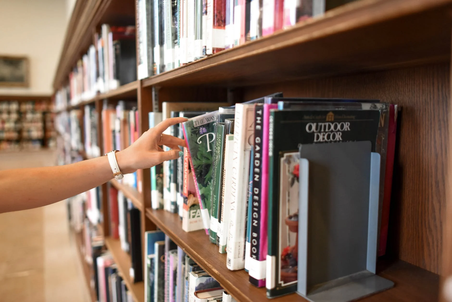 A low-angle, blurred view of rows of books on tall wooden library shelves, creating a scholarly atmosphere suitable for a discussion on academic exams.