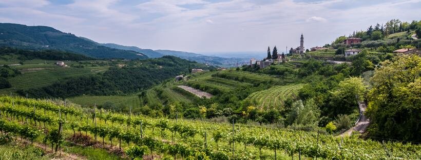 Gruppo Italiano Vini