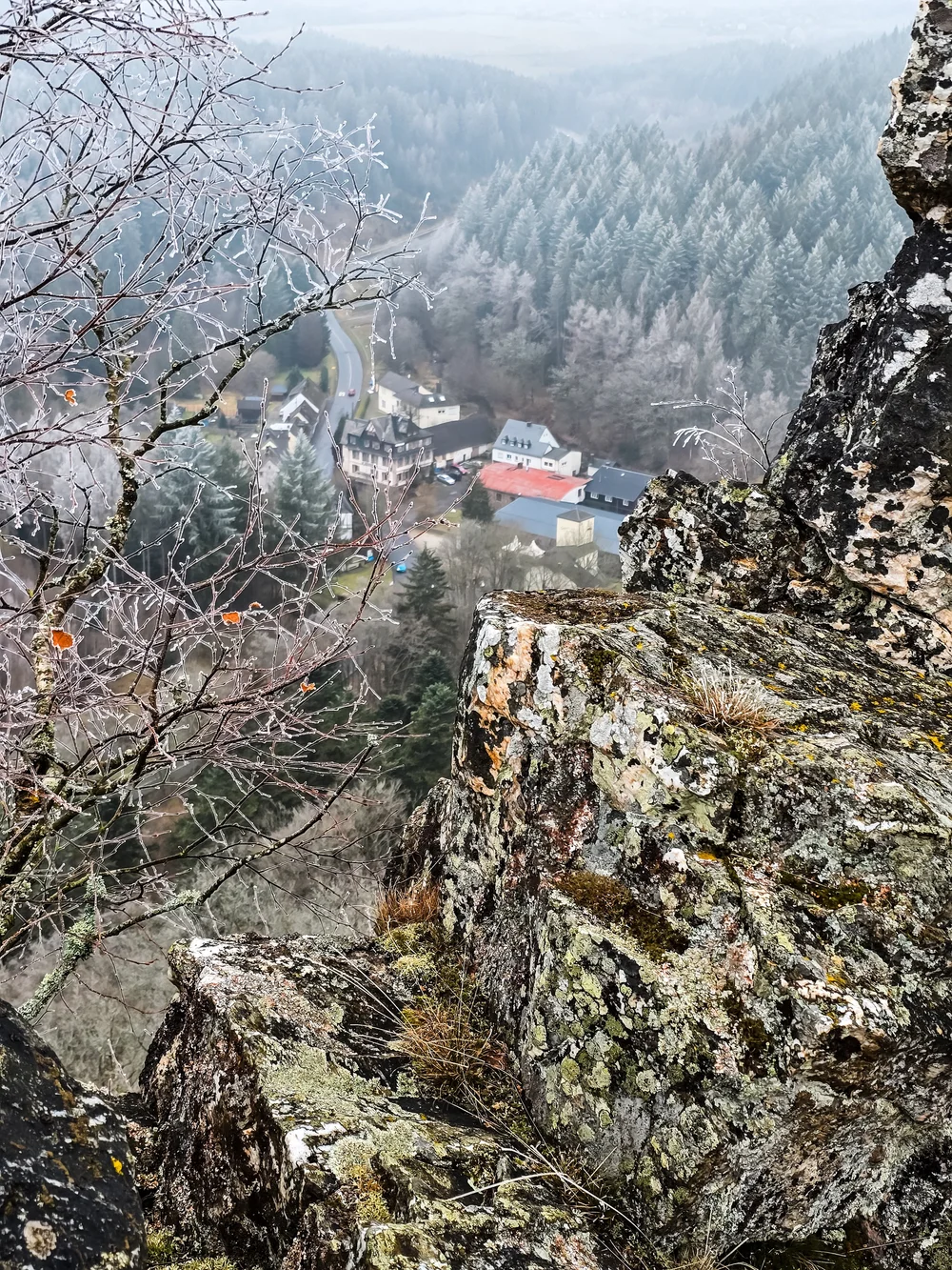 20250118_122230.jpg