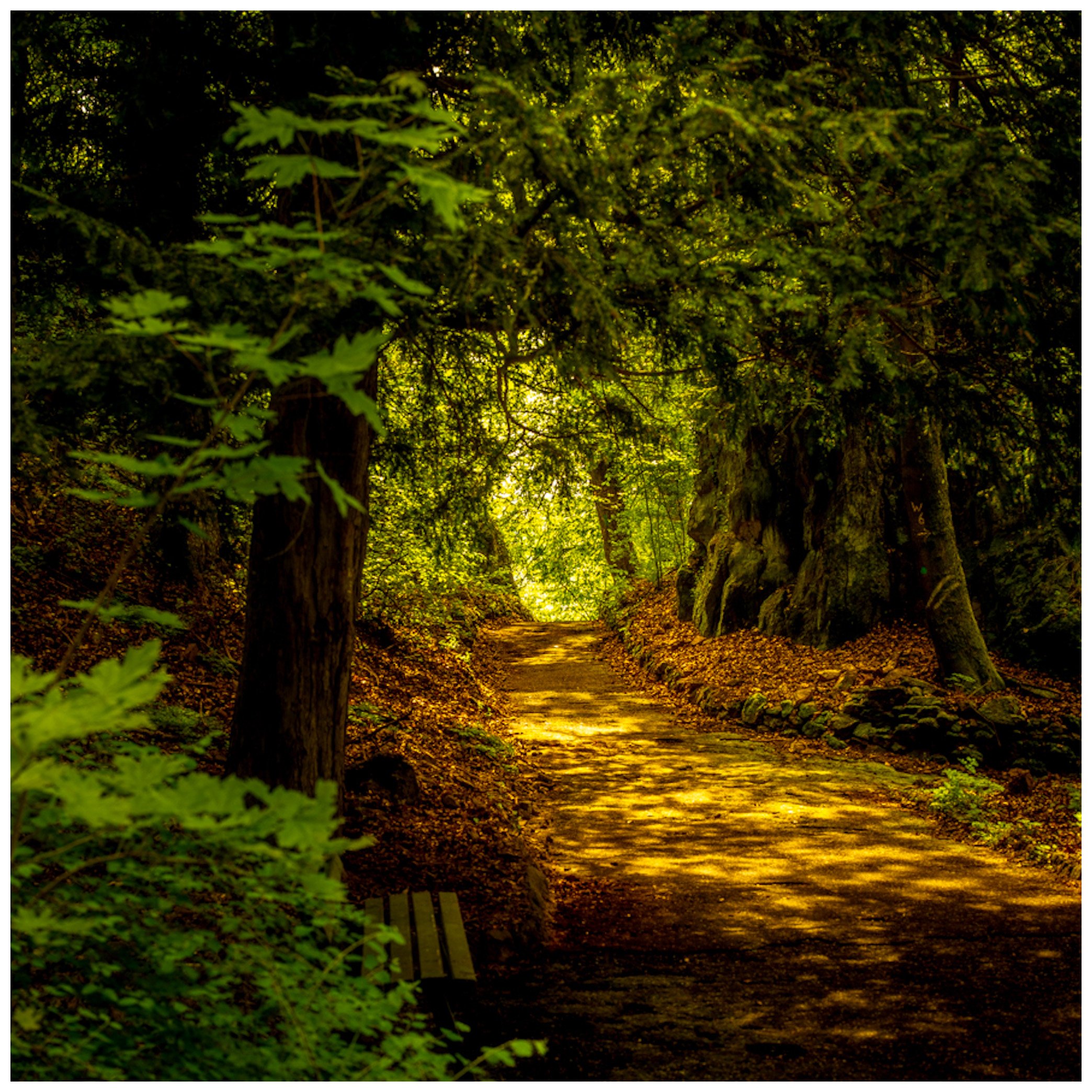 Zwischen Licht und Schatten - Fotowalk Idar-Oberstein