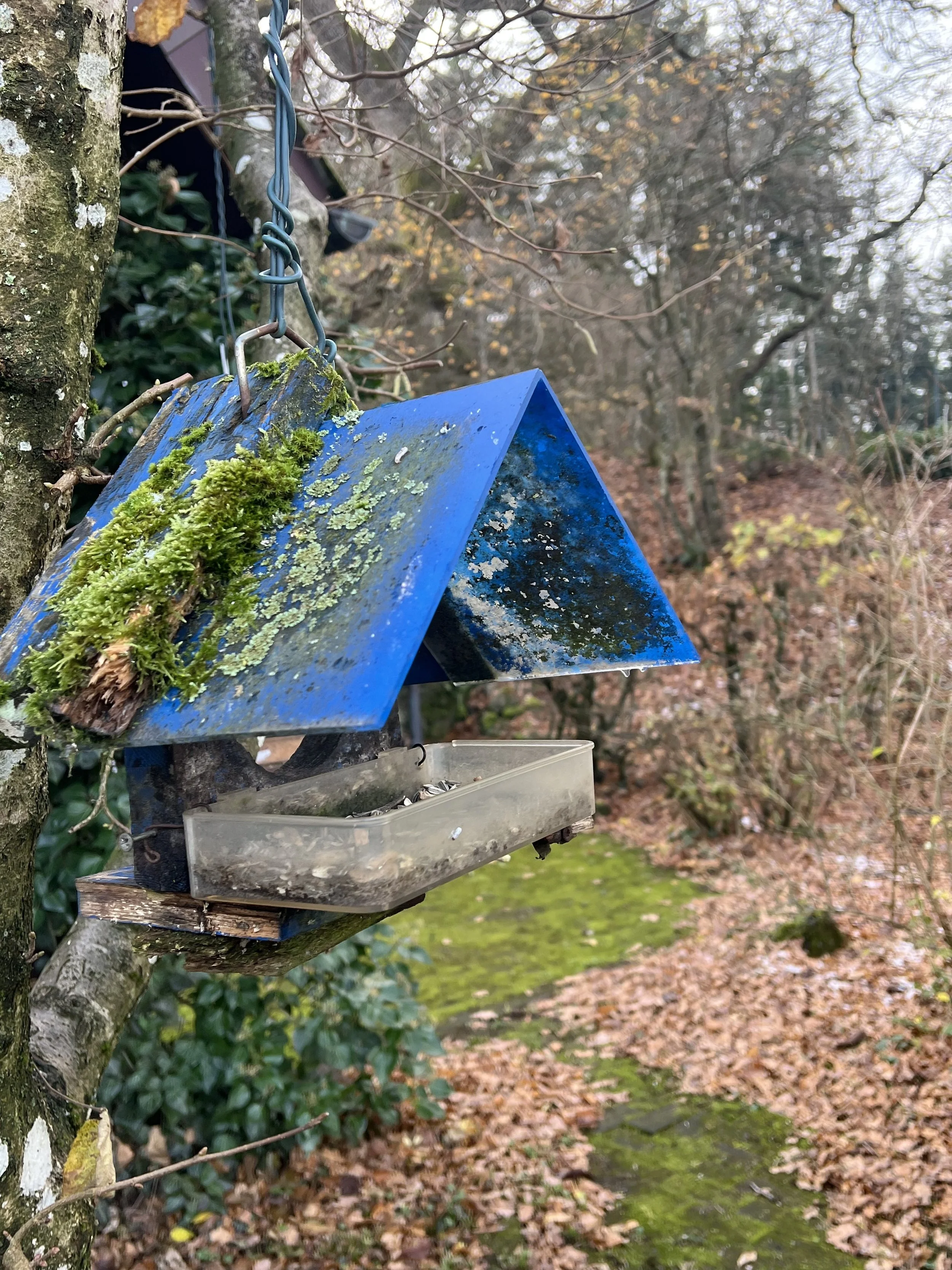 25-11-20 10-56-13 5027.jpg