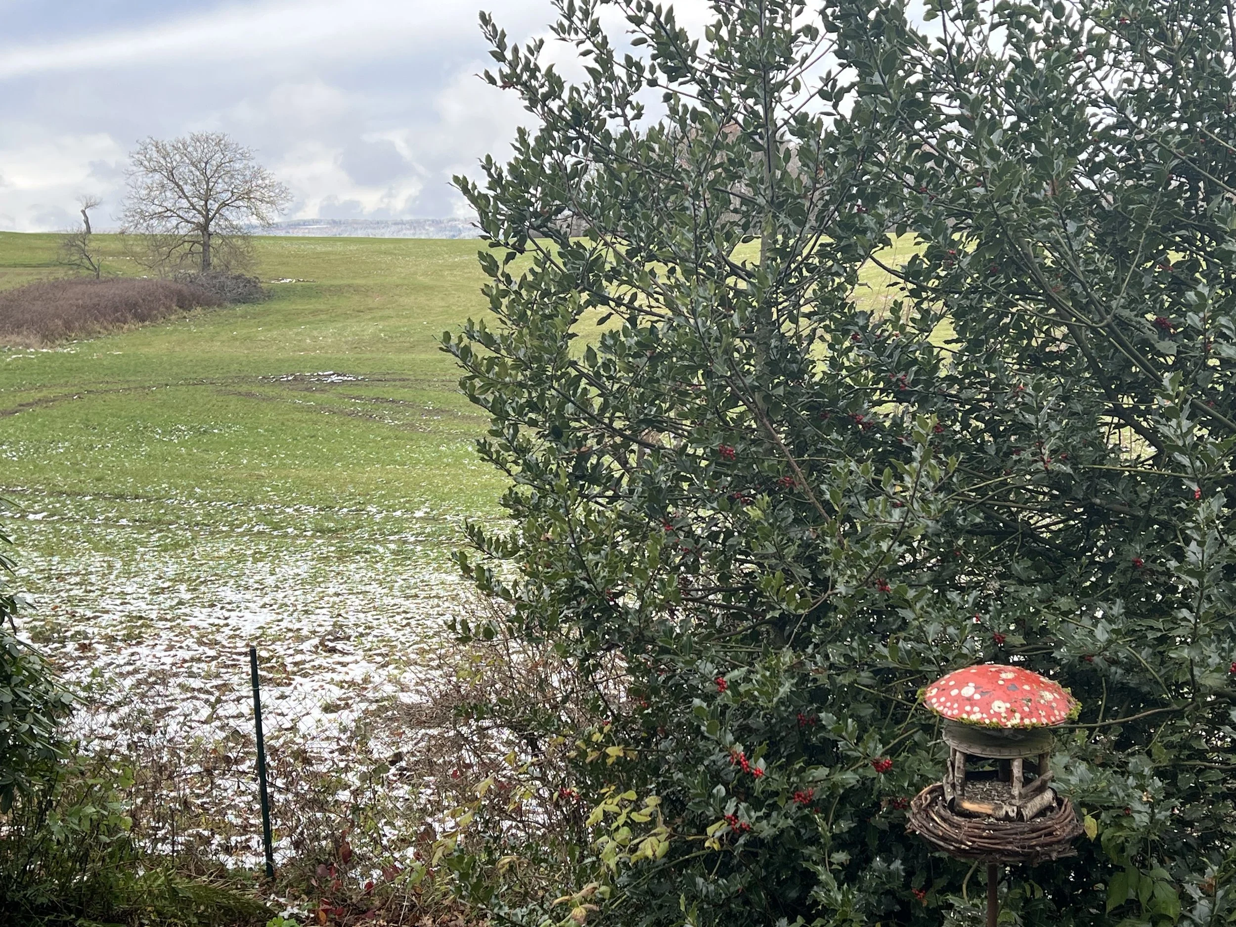 25-11-20 12-14-57 5076.jpg