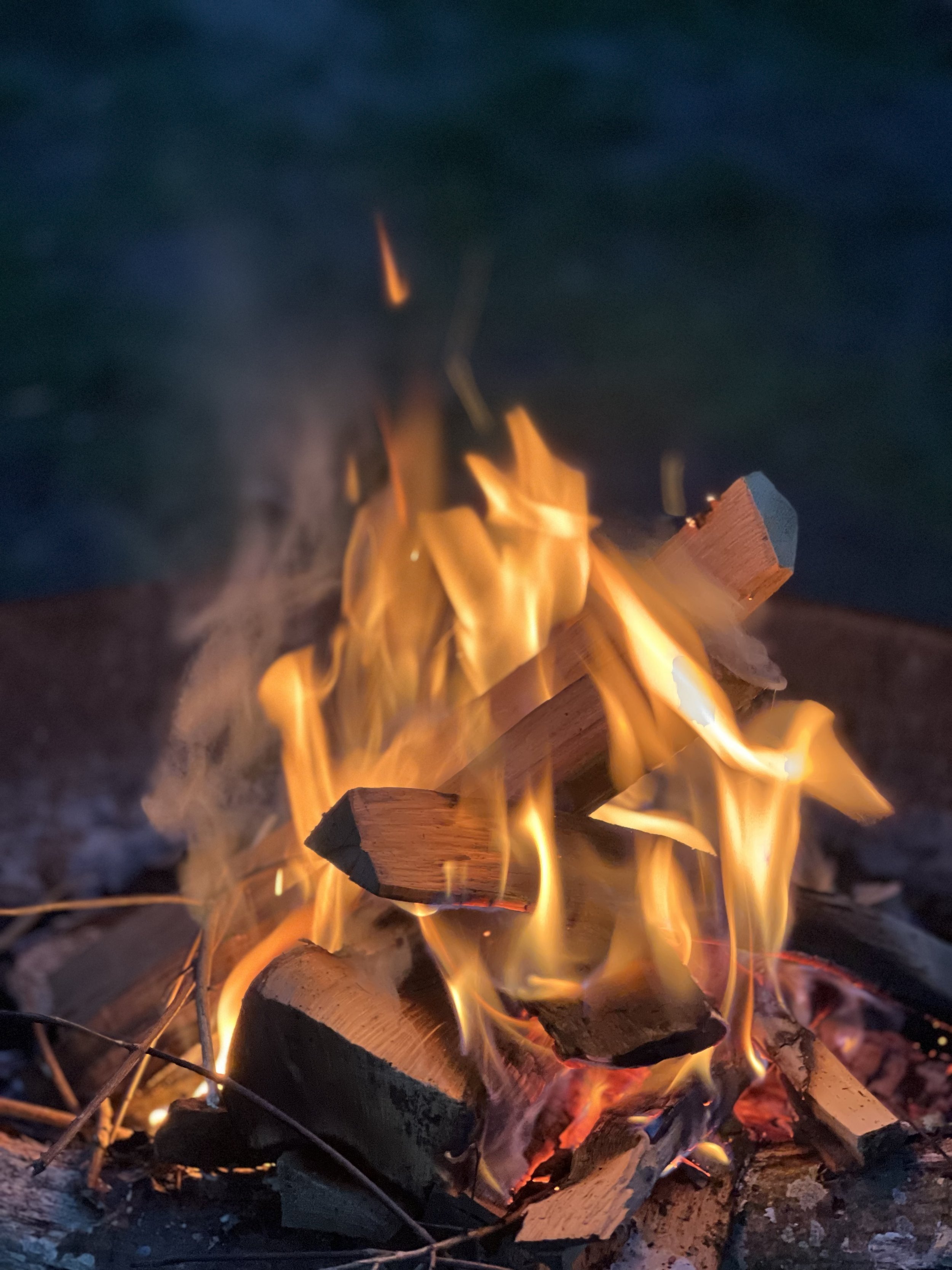 Die längste Nacht des Jahres