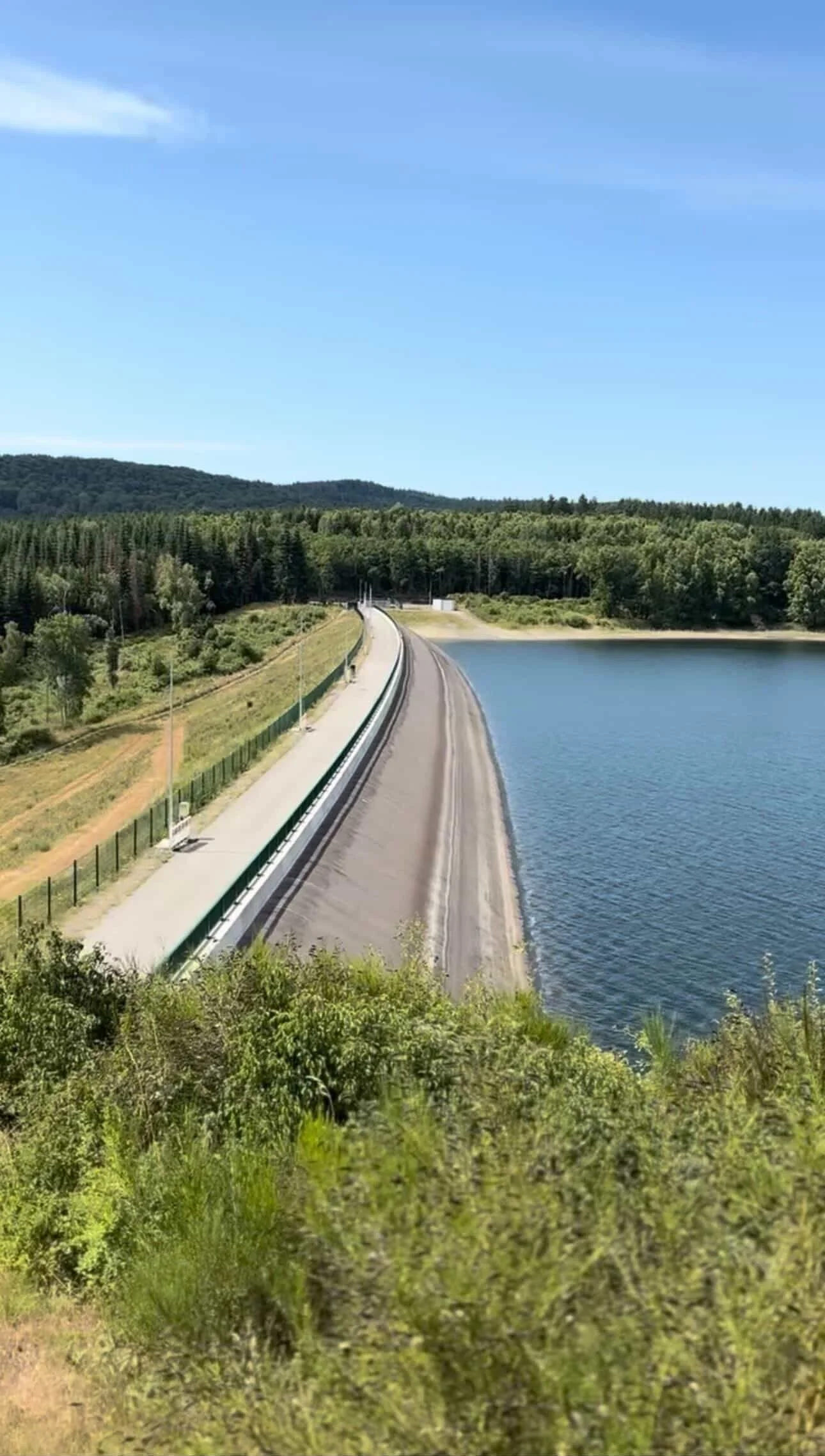 26-03-17 10-01-56 3.jpg