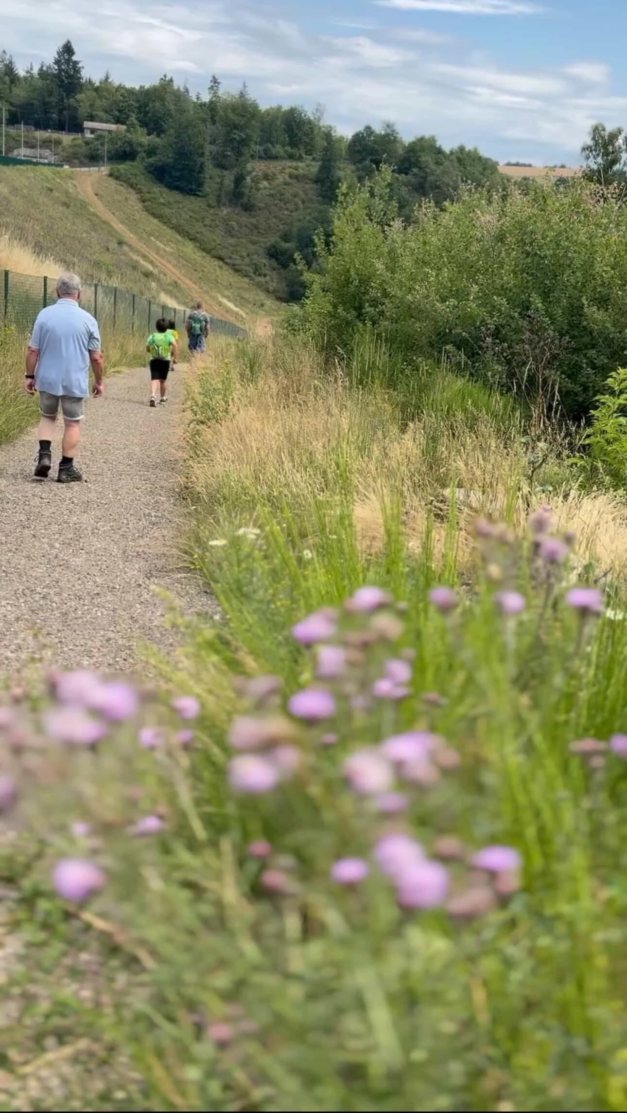 26-03-17 10-02-53 23.jpg