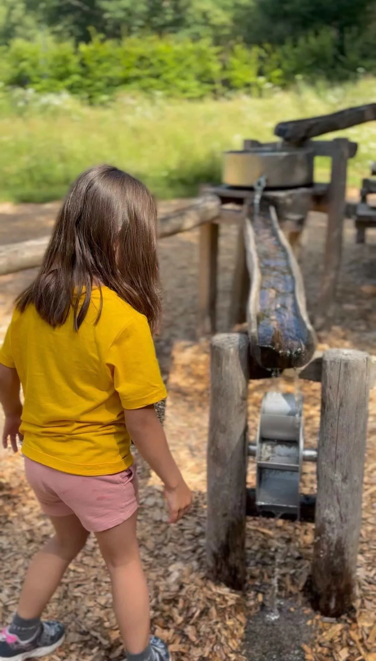 26-03-17 10-02-03 9.jpg