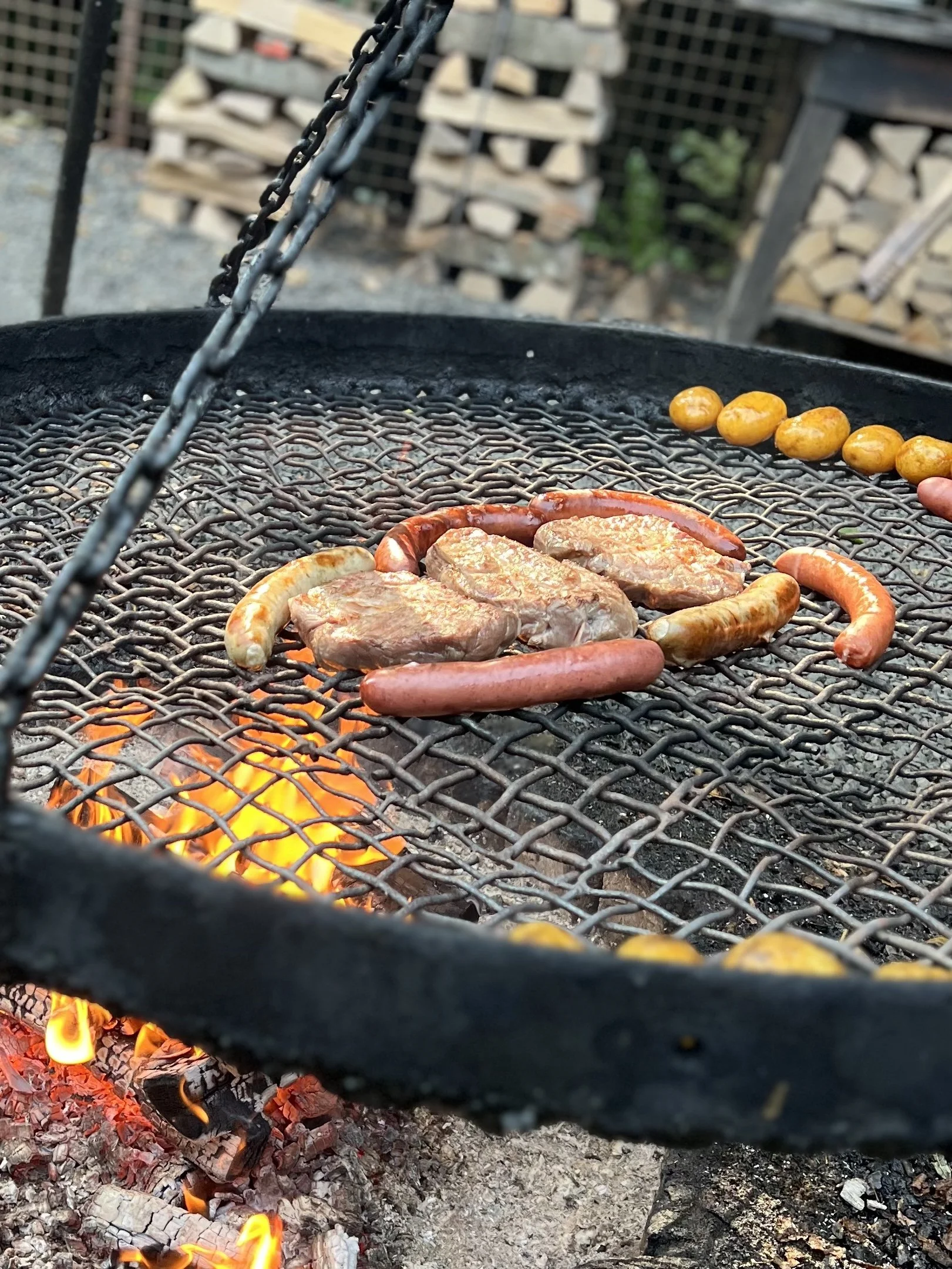 24-08-31 16-26-42 1271_Zander (1).jpg