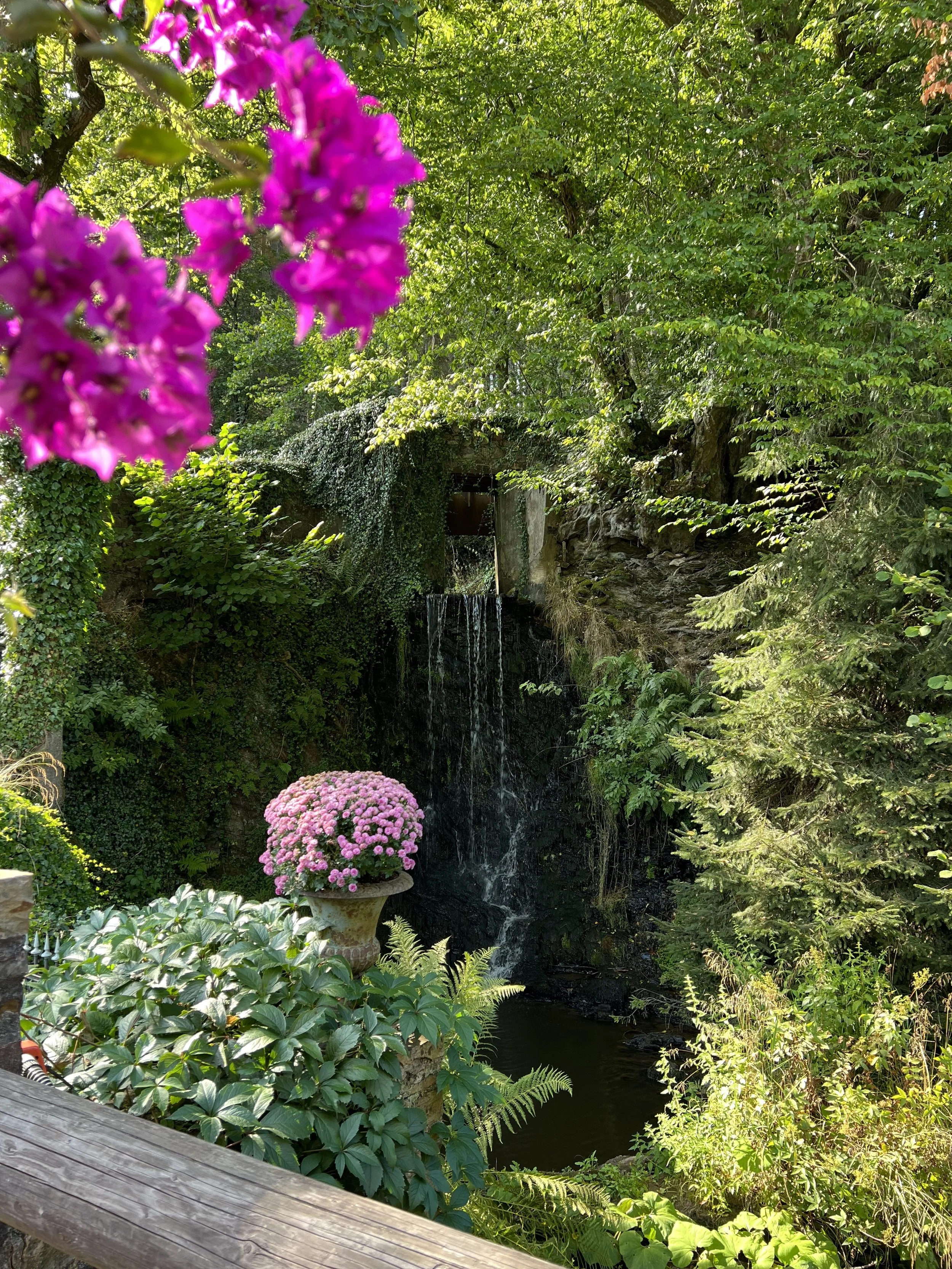 24-08-31 16-15-17 1268_Zander.jpg