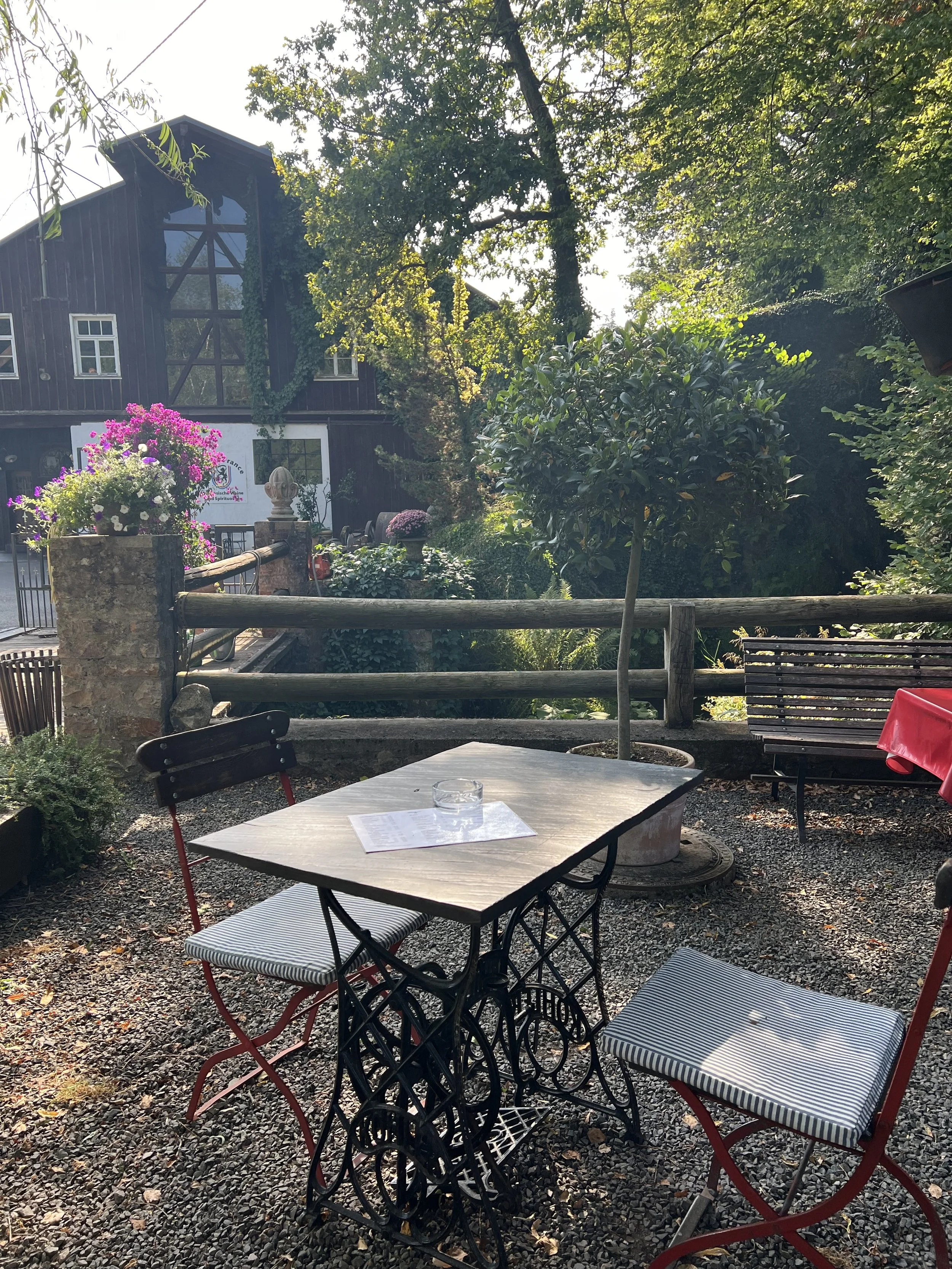 24-08-31 16-14-29 1264_Zander.jpg