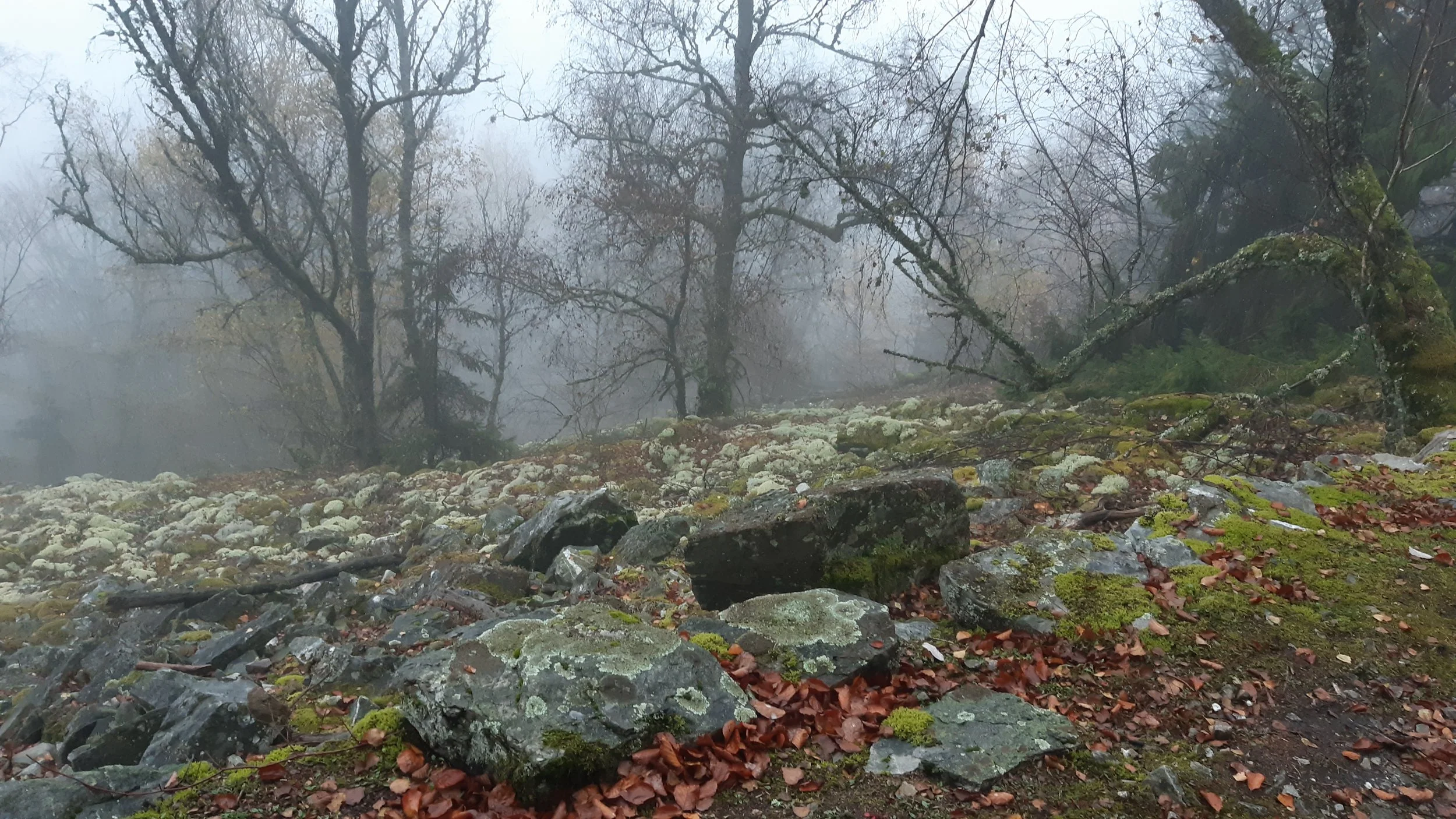 Die letzte Tour des Jahres