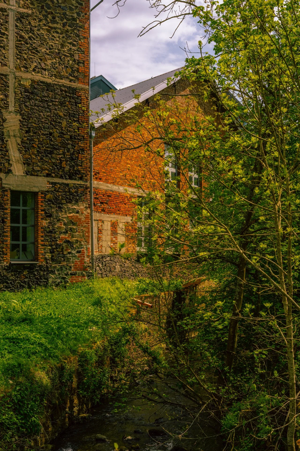 Herrstein-20250503_A7406847-1920x1080.jpg