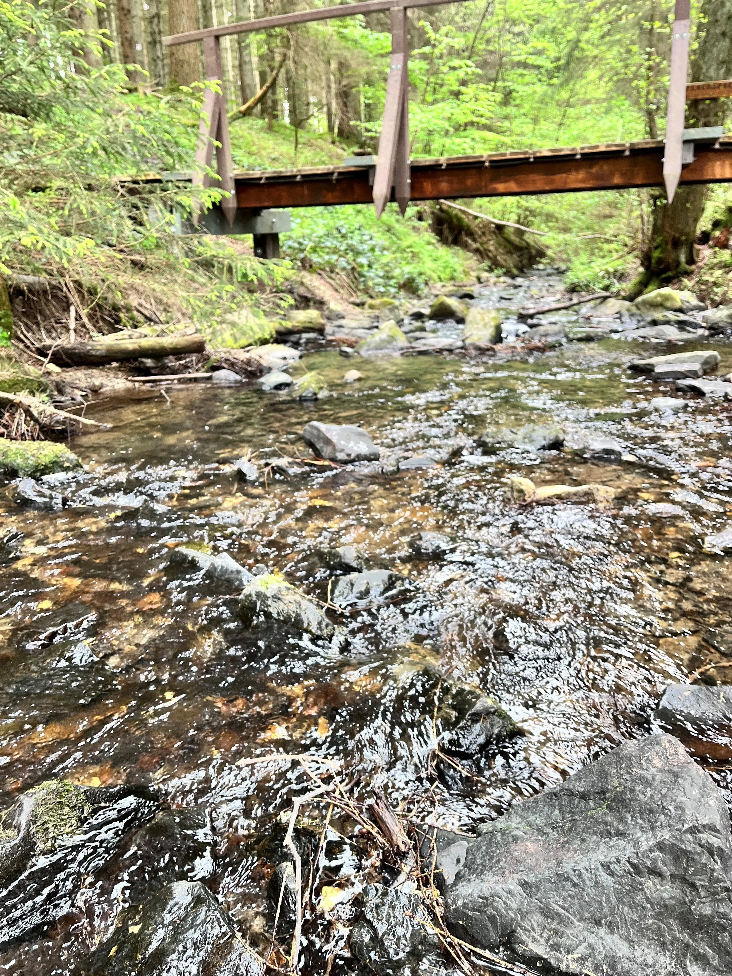 WasserWissensExkursion “Lebensraum Bach”