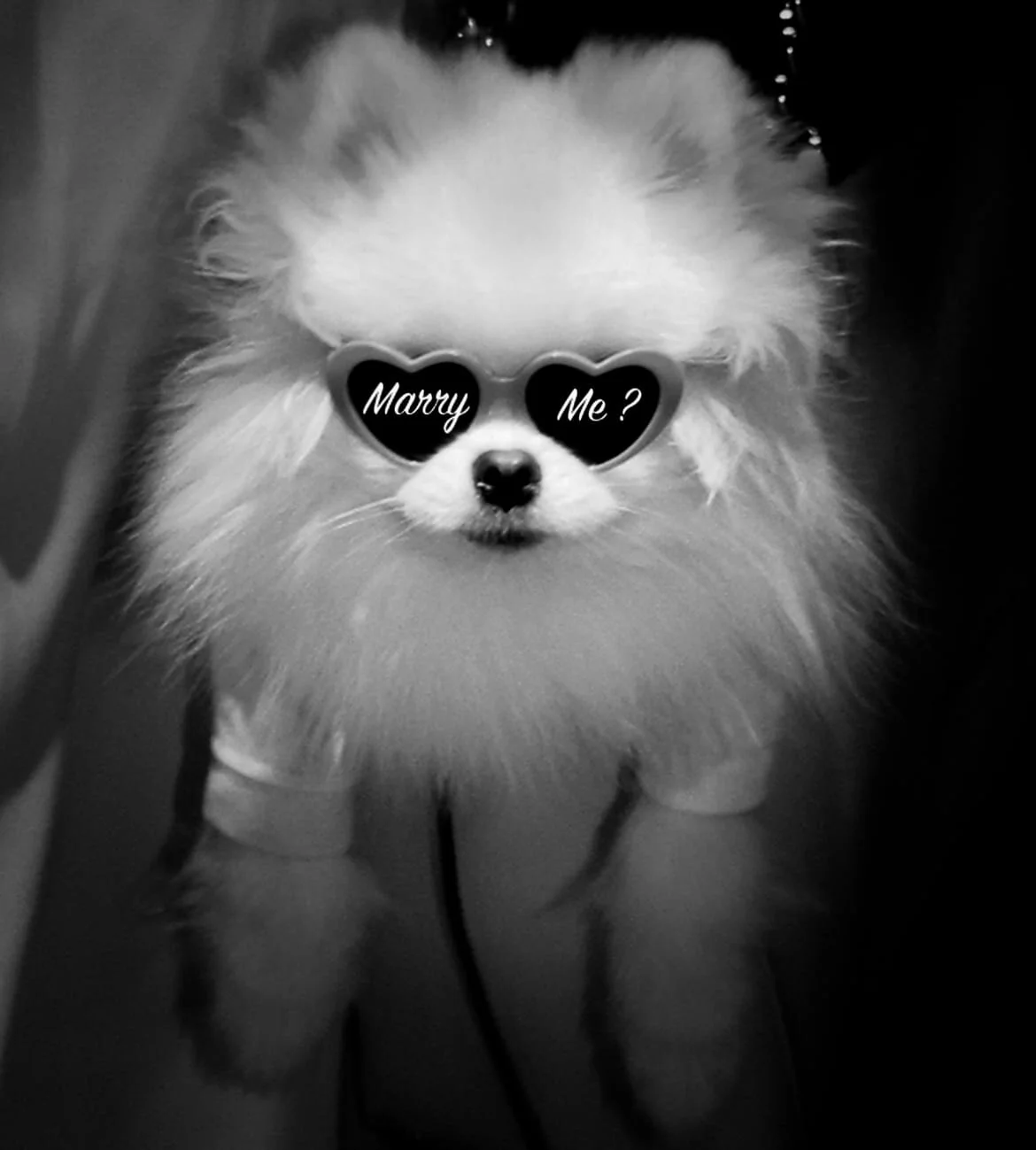 PERFECT PROPOSAL

Based on your relationship and your partner's personality I help you come up with the most special proposal idea and ring.
