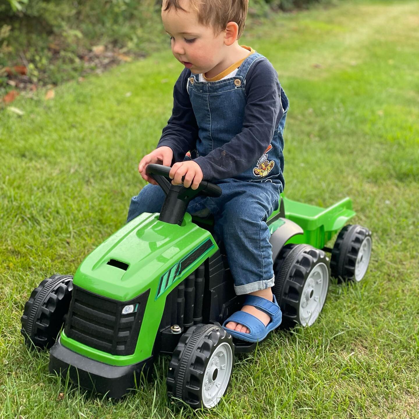 🚜 🥕 Evening Harvest Time 🥕 🚜 

Loving the moments when he&rsquo;s actually a little helper in the garden and not just causing chaos and throwing stones. We picked French beans, rubber beans and a couple of carrots, all grown from seed. 

#farmeri