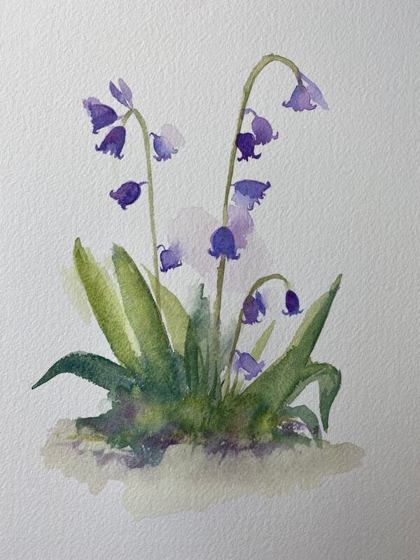 G9SVB3gHSimwJOso5hHU_IMG_7567.jpg