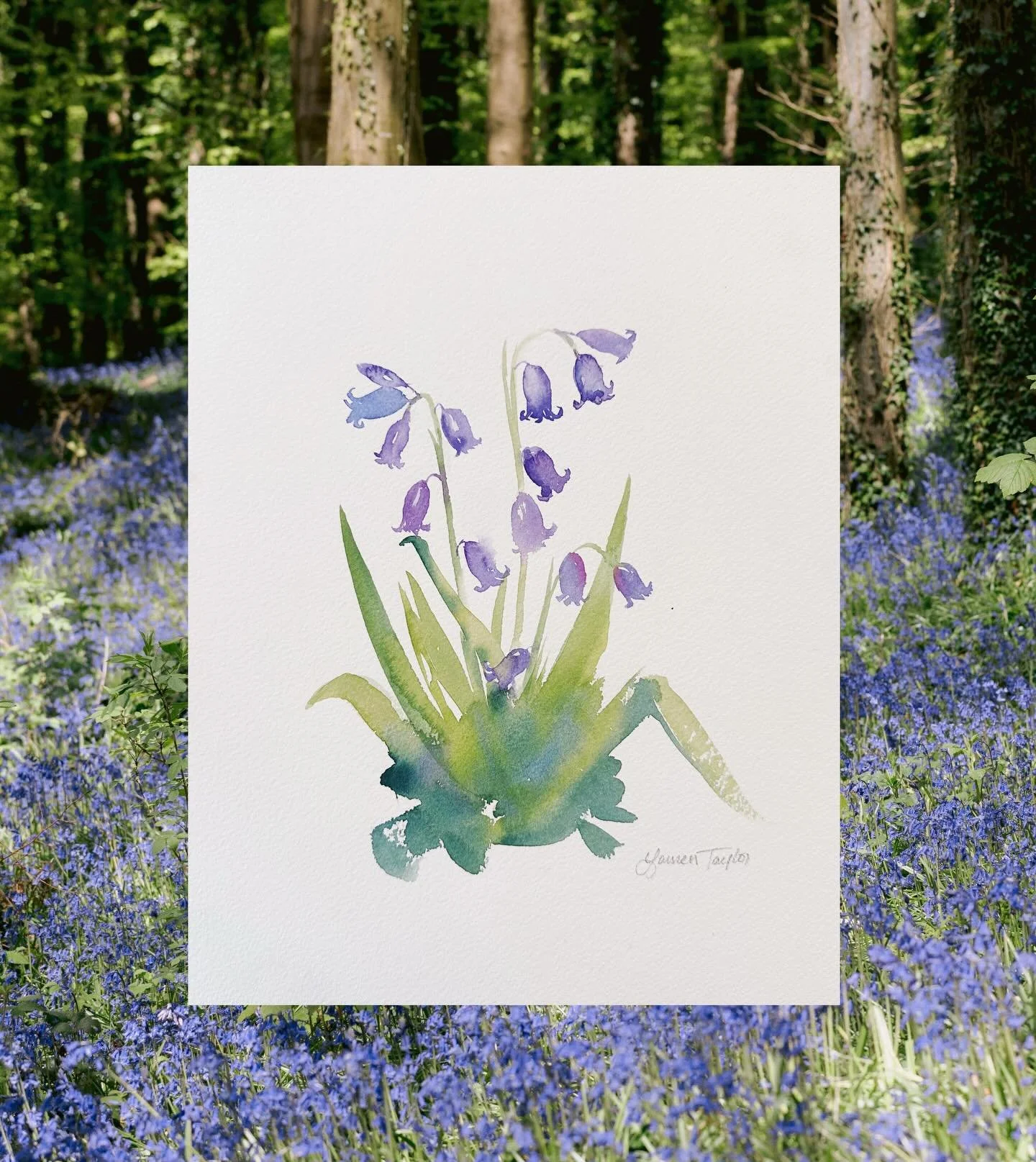 Come paint bluebells with me in my art gallery @studiogrene 
I&rsquo;m excited to share that my first in person workshop is happening at the end of the month!
When: Sunday March 29 11-1:30
Where: Grene Art Gallery, Rostrevor BT343BG
Space is very lim