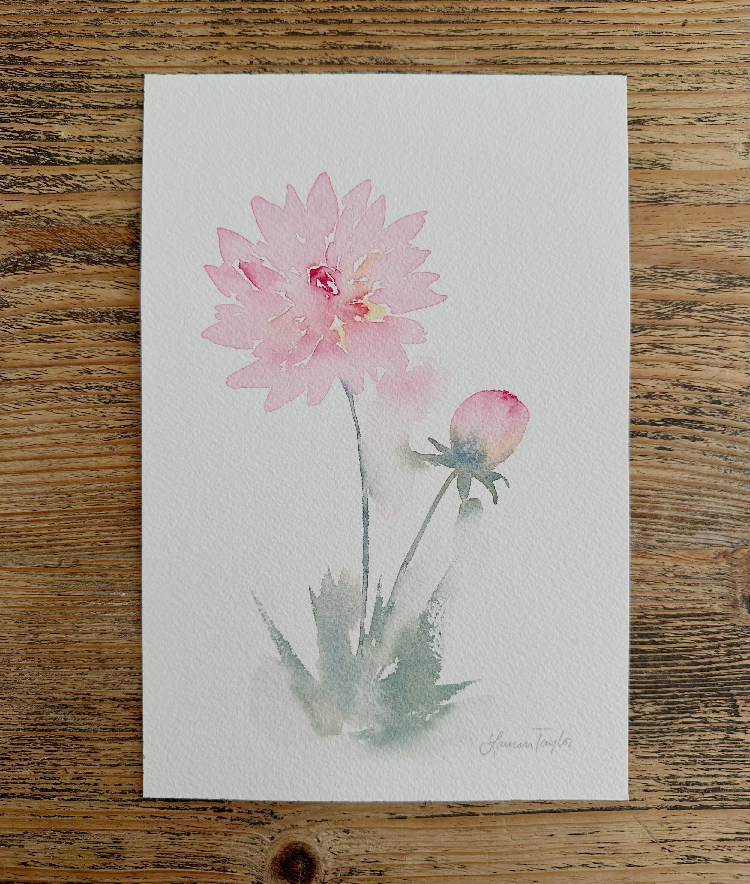 Mini Peony