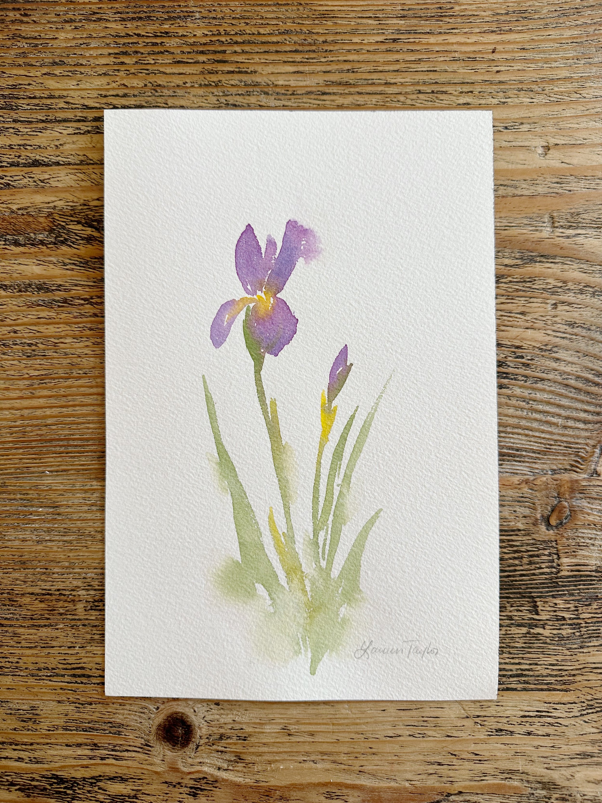 Mini Iris