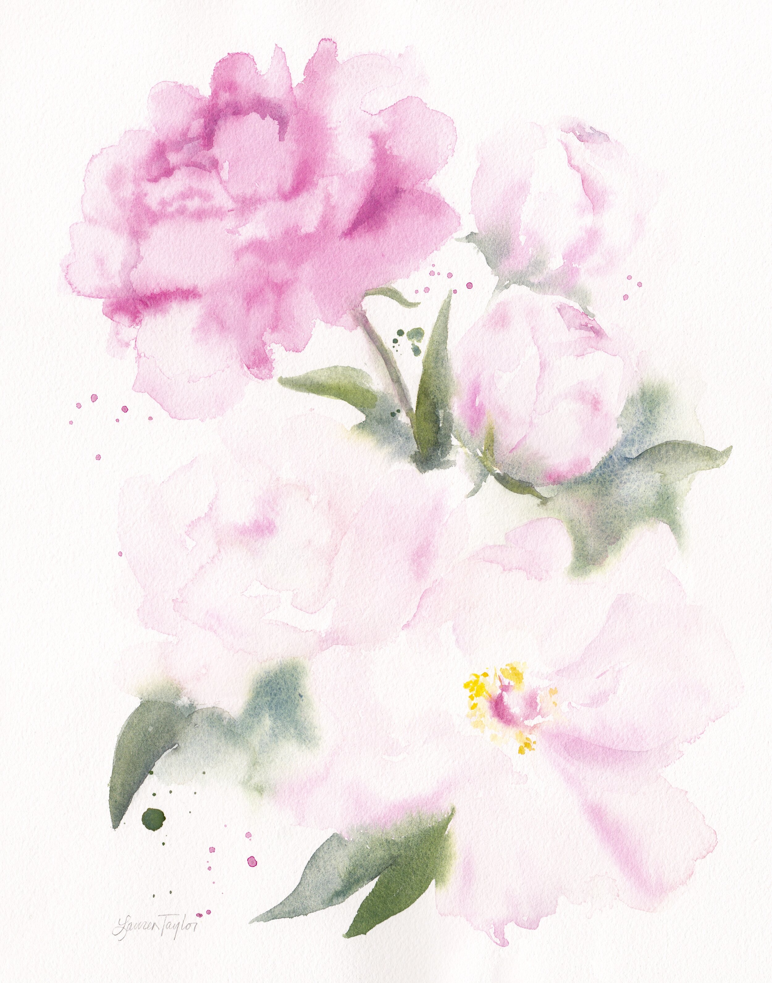 Peonies III Second Edition.jpg