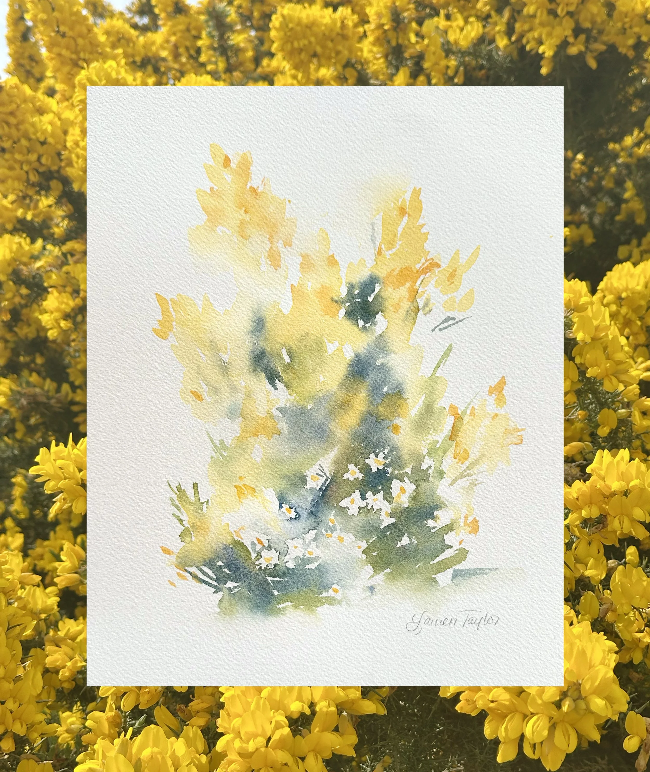 golden gorse watercolor class.jpg