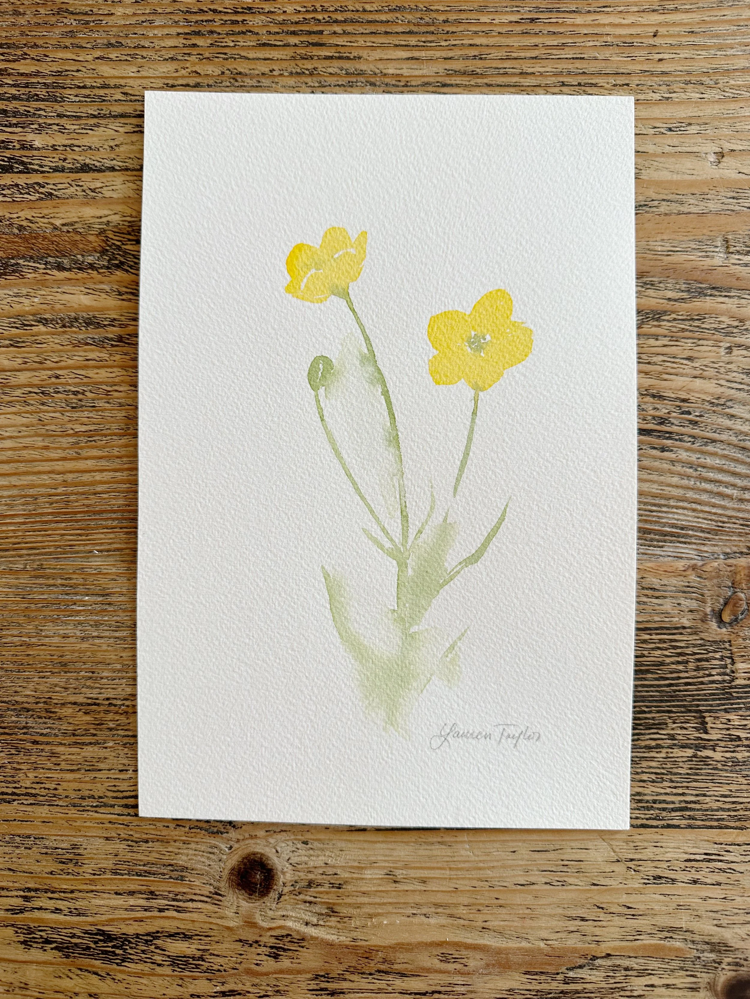 Mini Buttercups