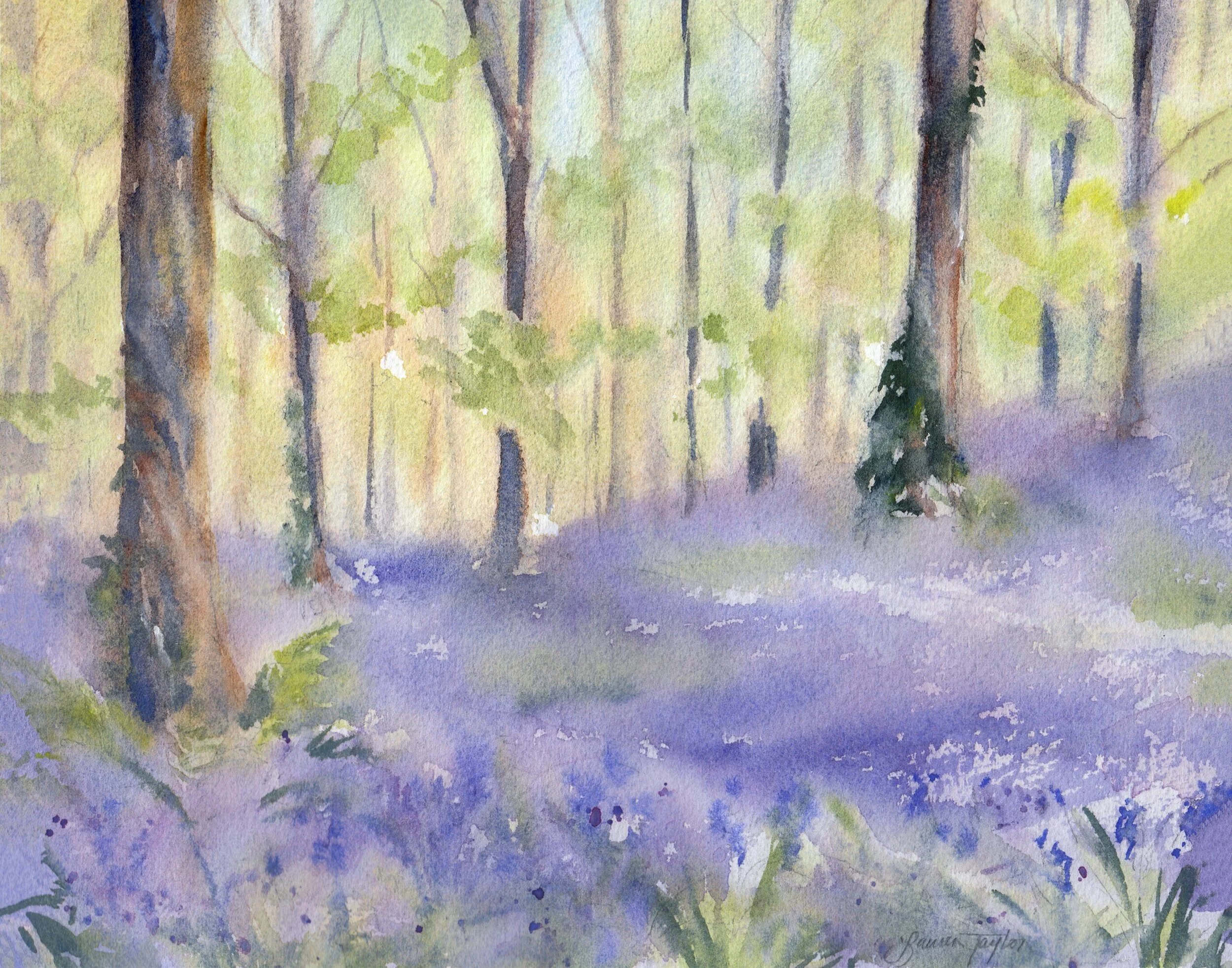LTC Bluebell Wood.jpg