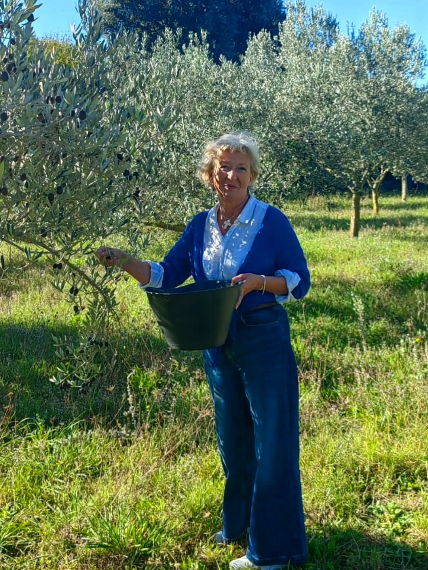 Mama Suzo helping out with the olive harvest in Istria ๐๐ซ๐ญ๐ท