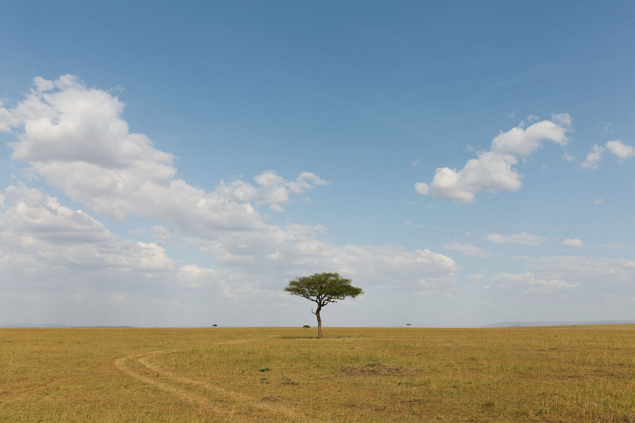 Maasai Mara, Kenya