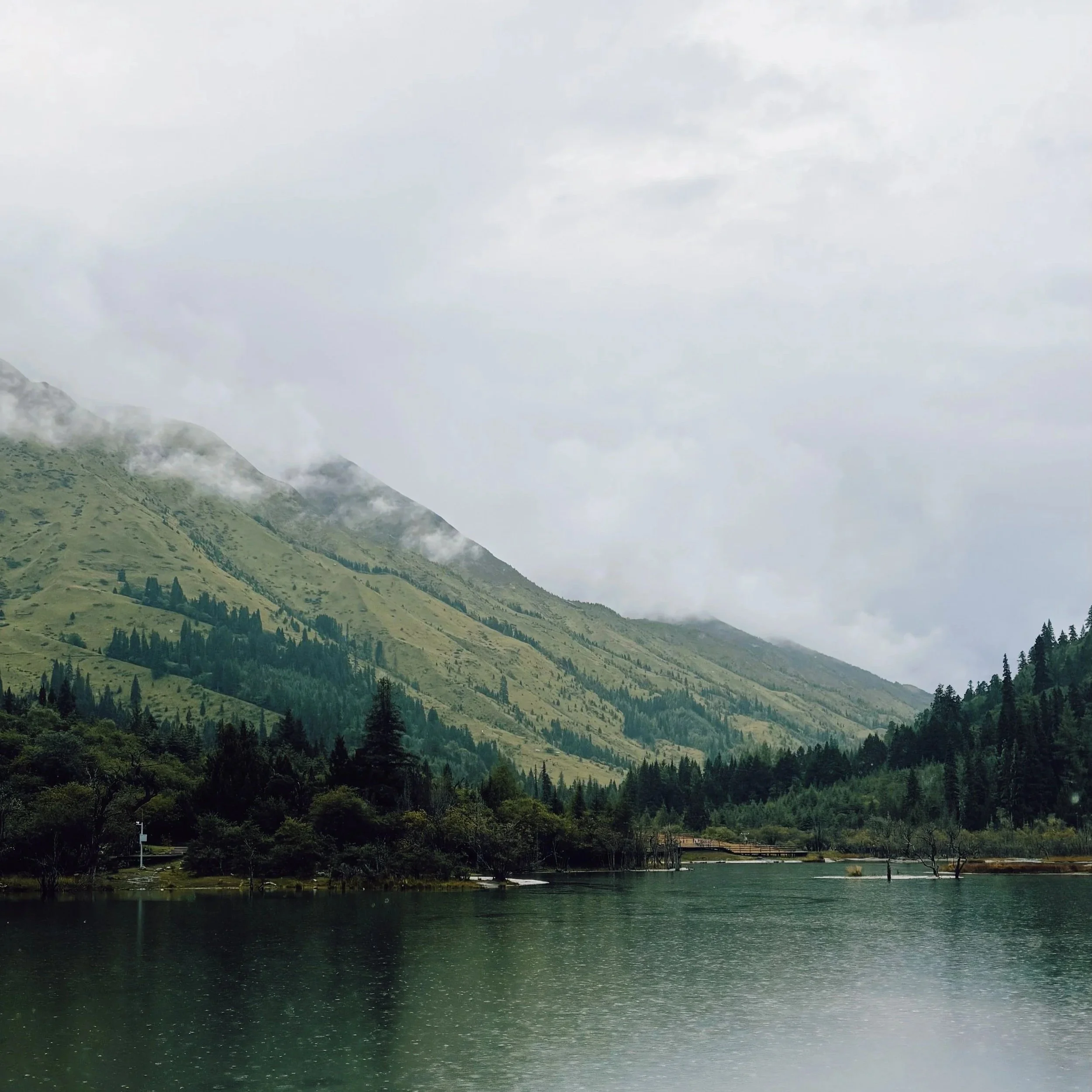 Residencies for Nature-Loving Artists