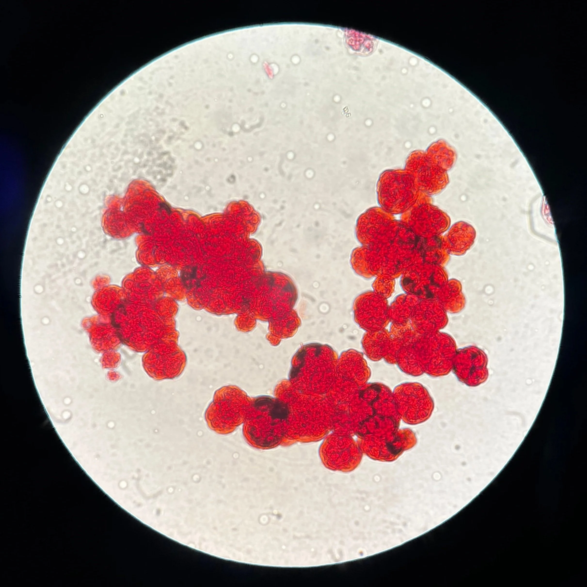 Where Art Meets Science: Don’t Miss These Opportunities