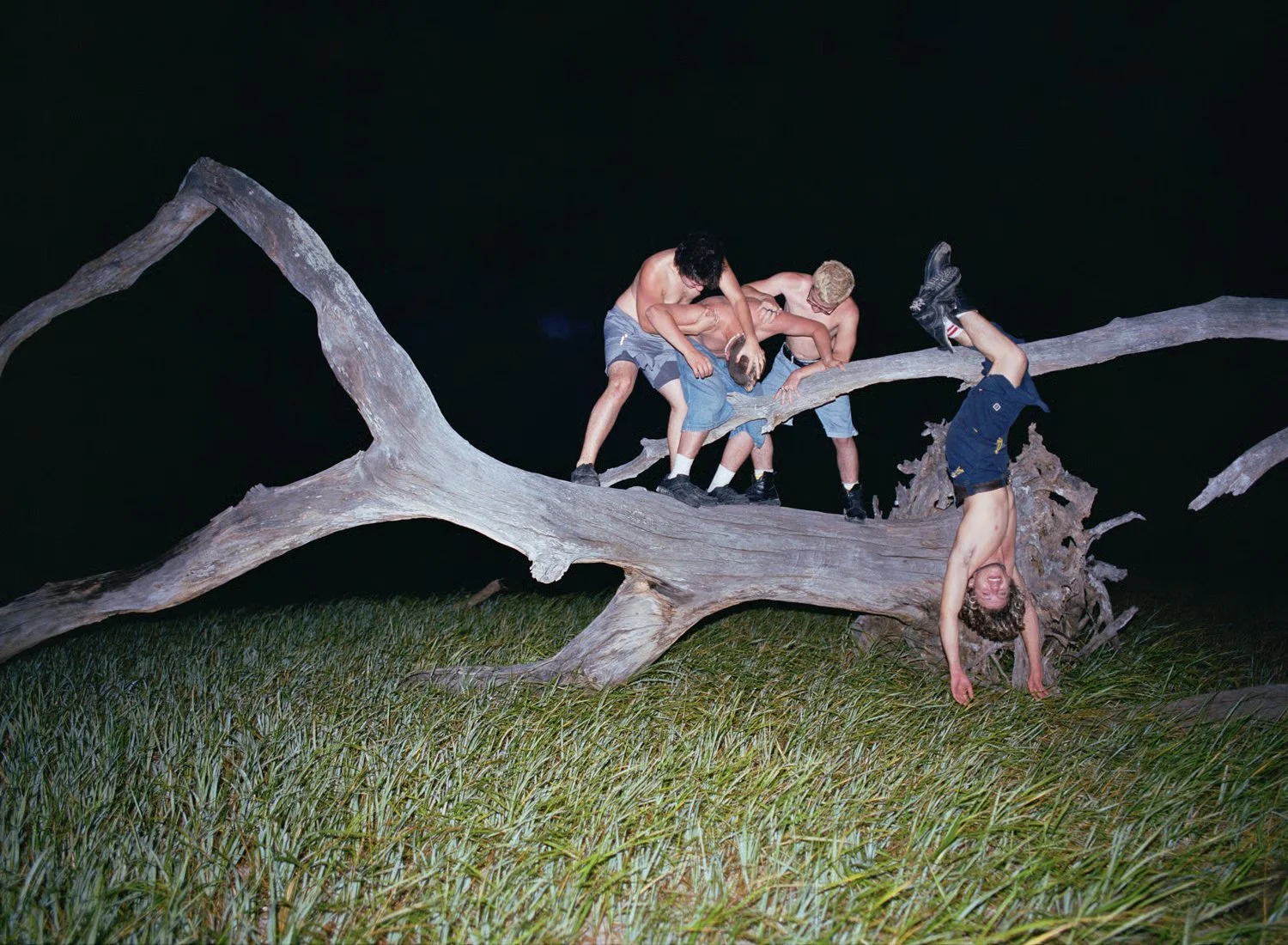 d6b509dd-ab73-4515-887a-e80a0fbe13f3 copy.jpg